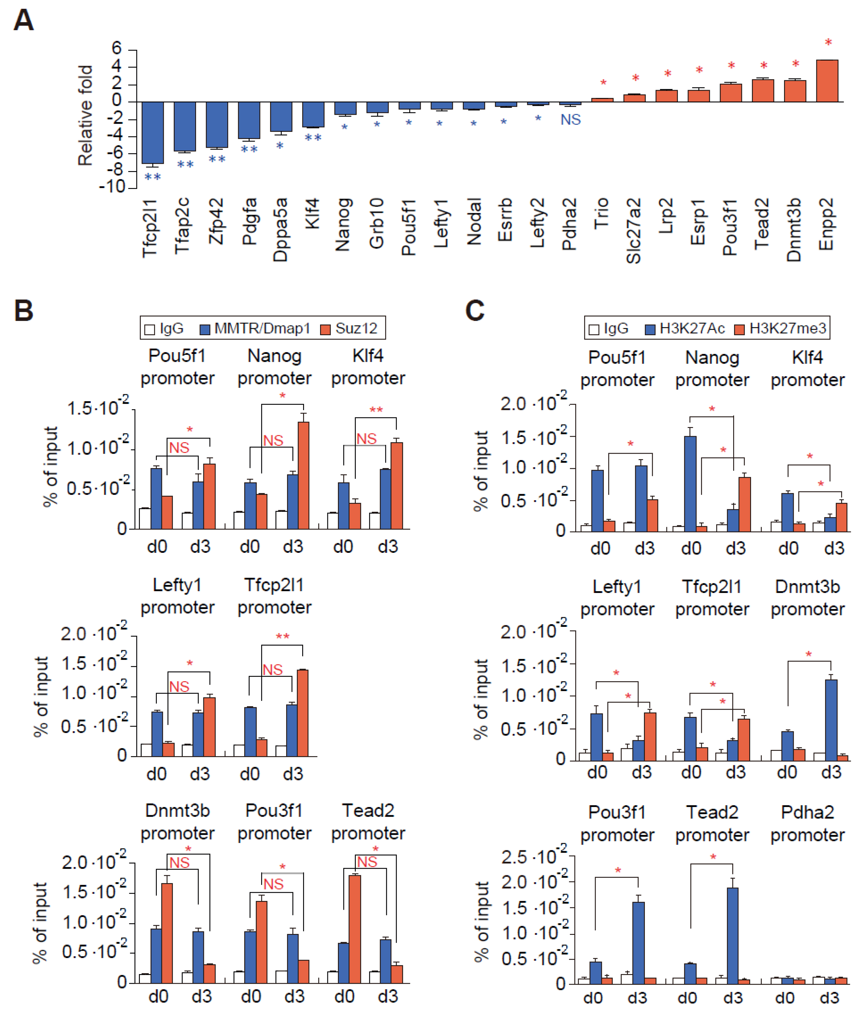 Cells 09 01190 g005 Cells 09 01190 g005