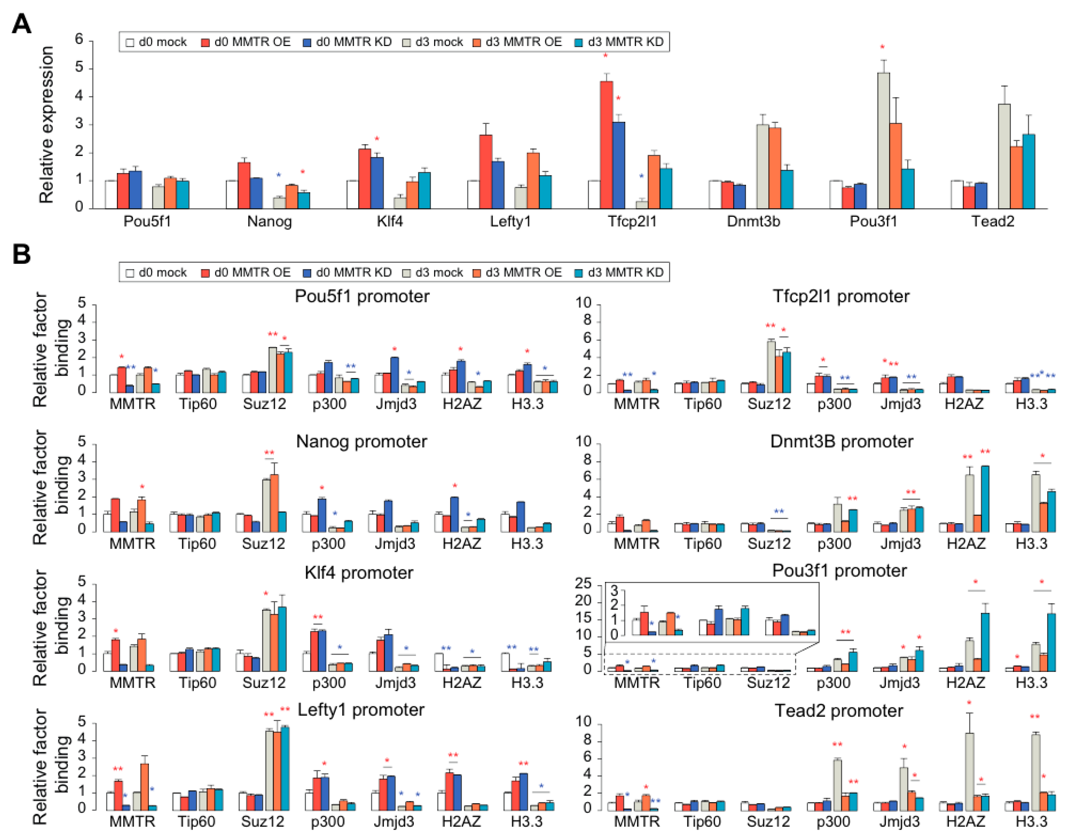 Cells 09 01190 g006 Cells 09 01190 g006