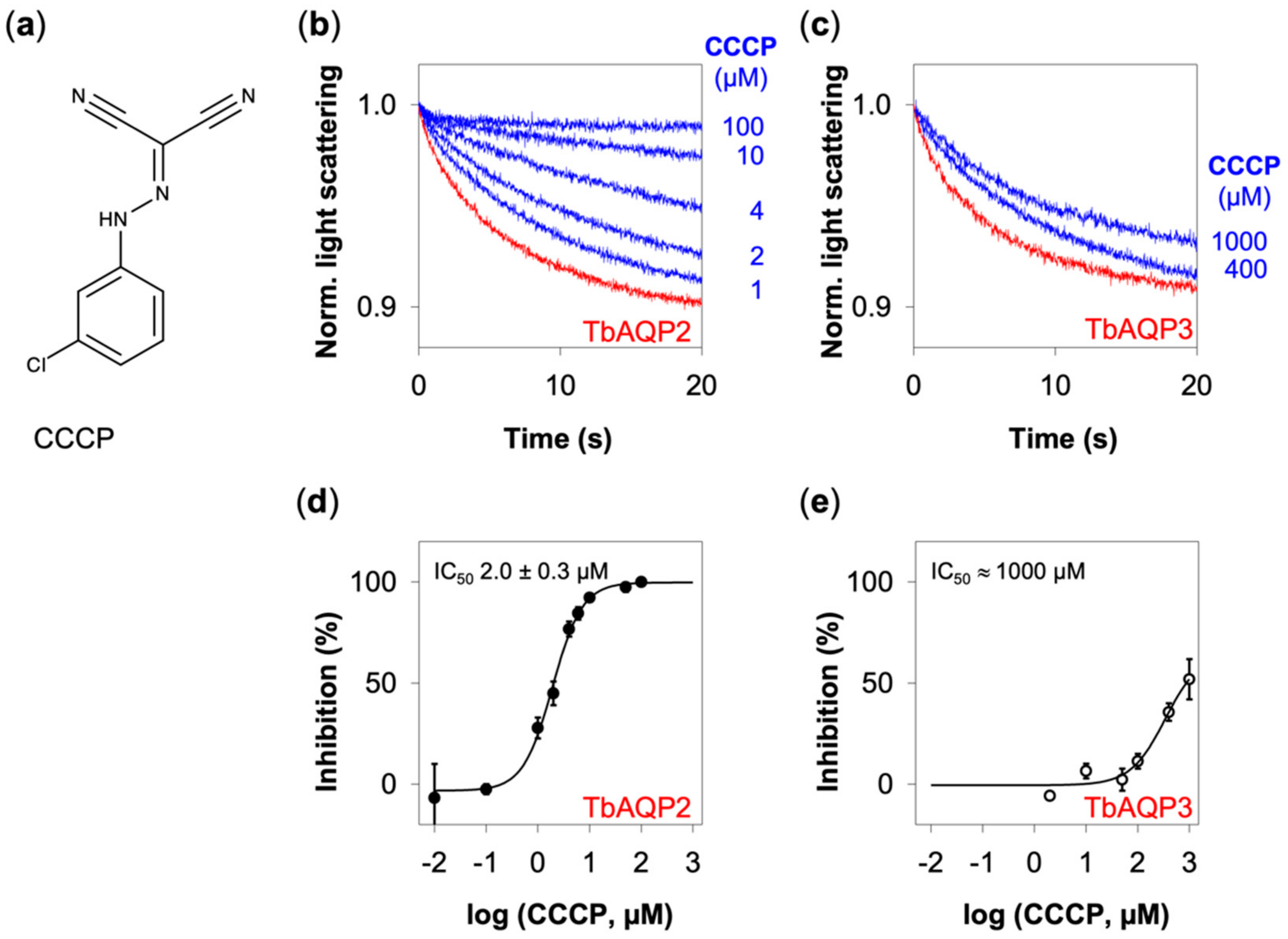 Cells 09 02335 g003 Cells 09 02335 g003