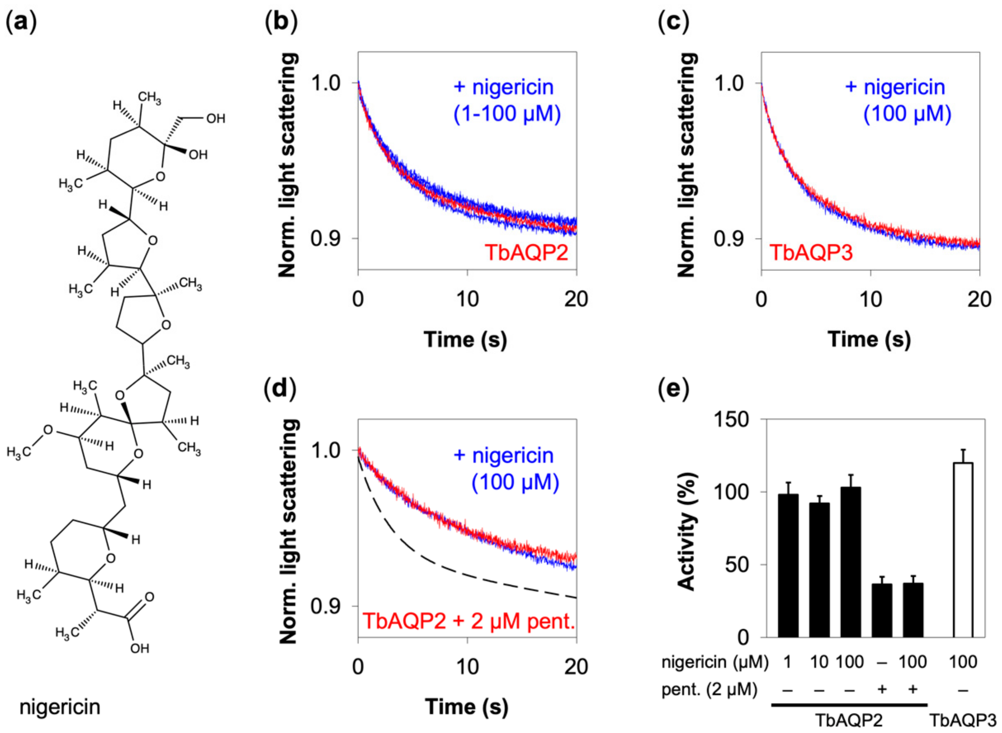 Cells 09 02335 g004 Cells 09 02335 g004
