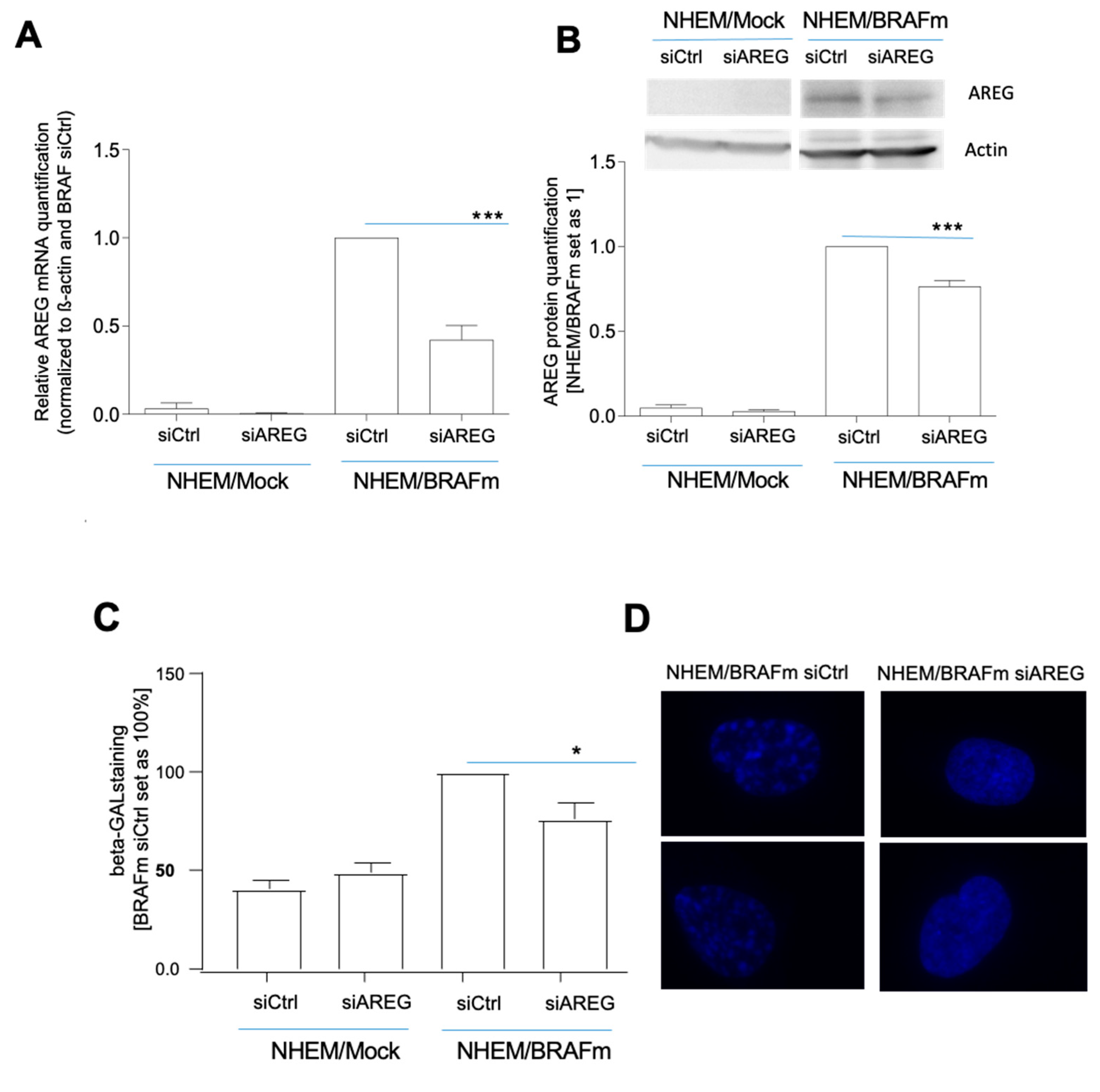 Cells 10 00326 g002a