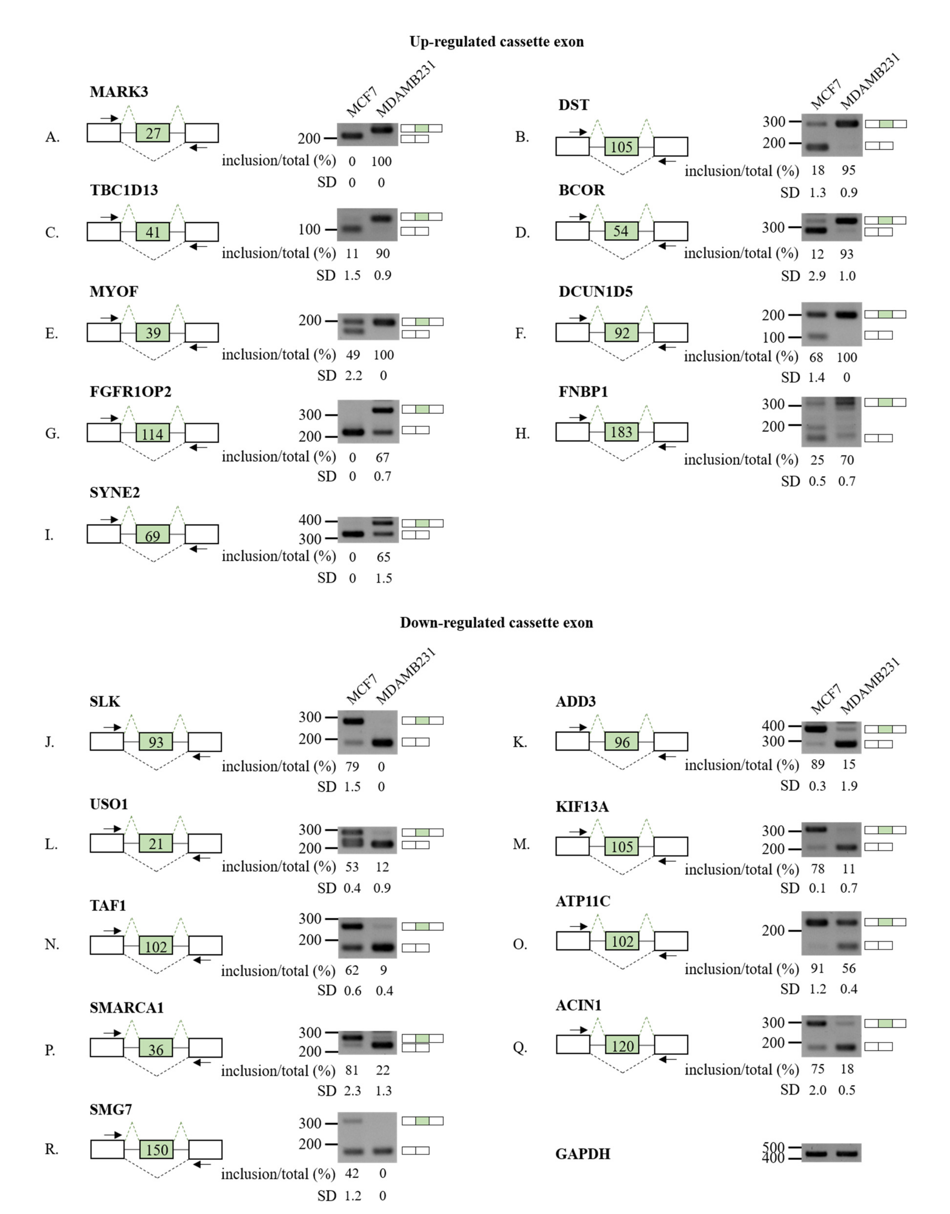 Cells 10 00858 g002 Cells 10 00858 g002