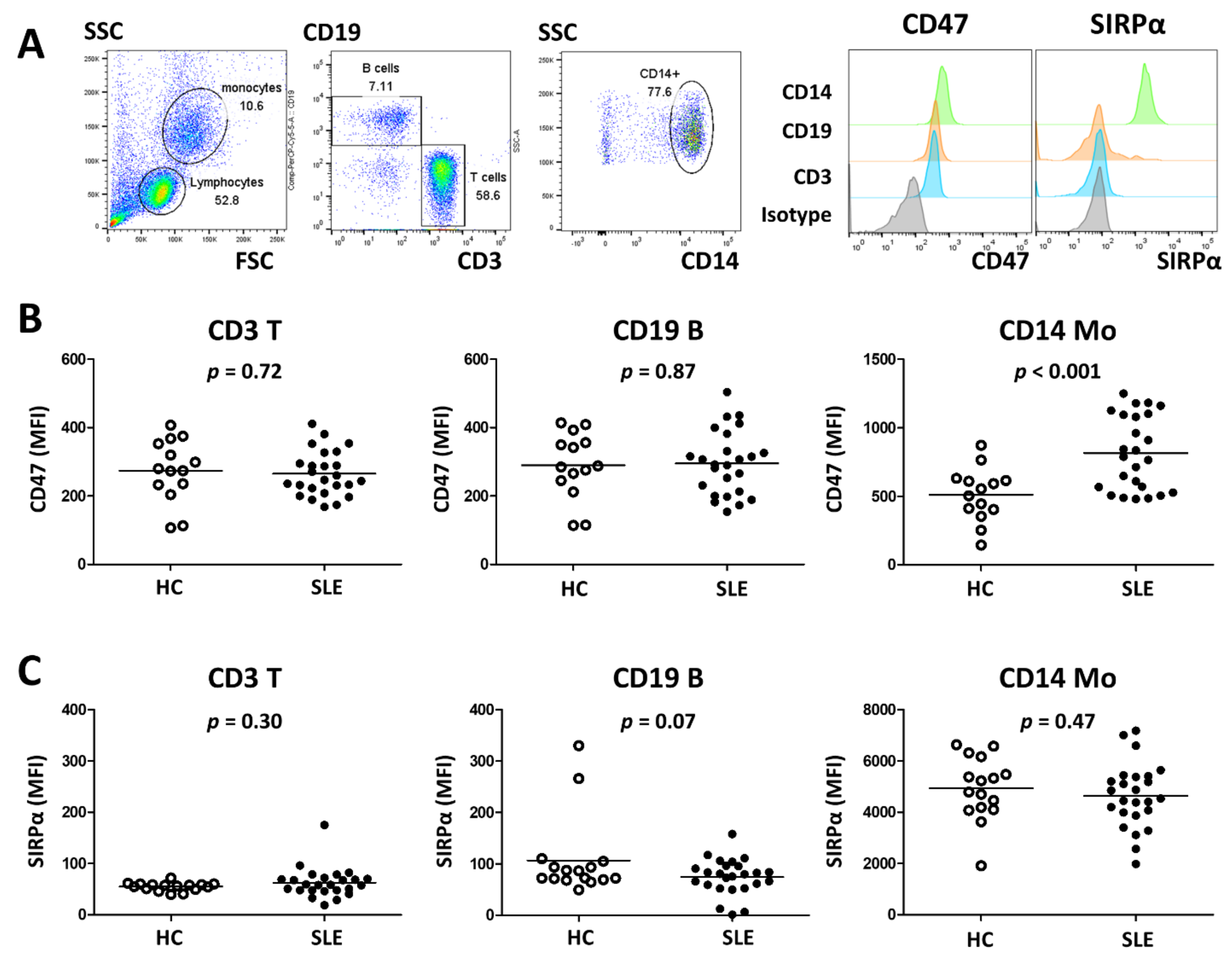 Cells Free Full Text CD47 Potentiates Inflammatory Response In