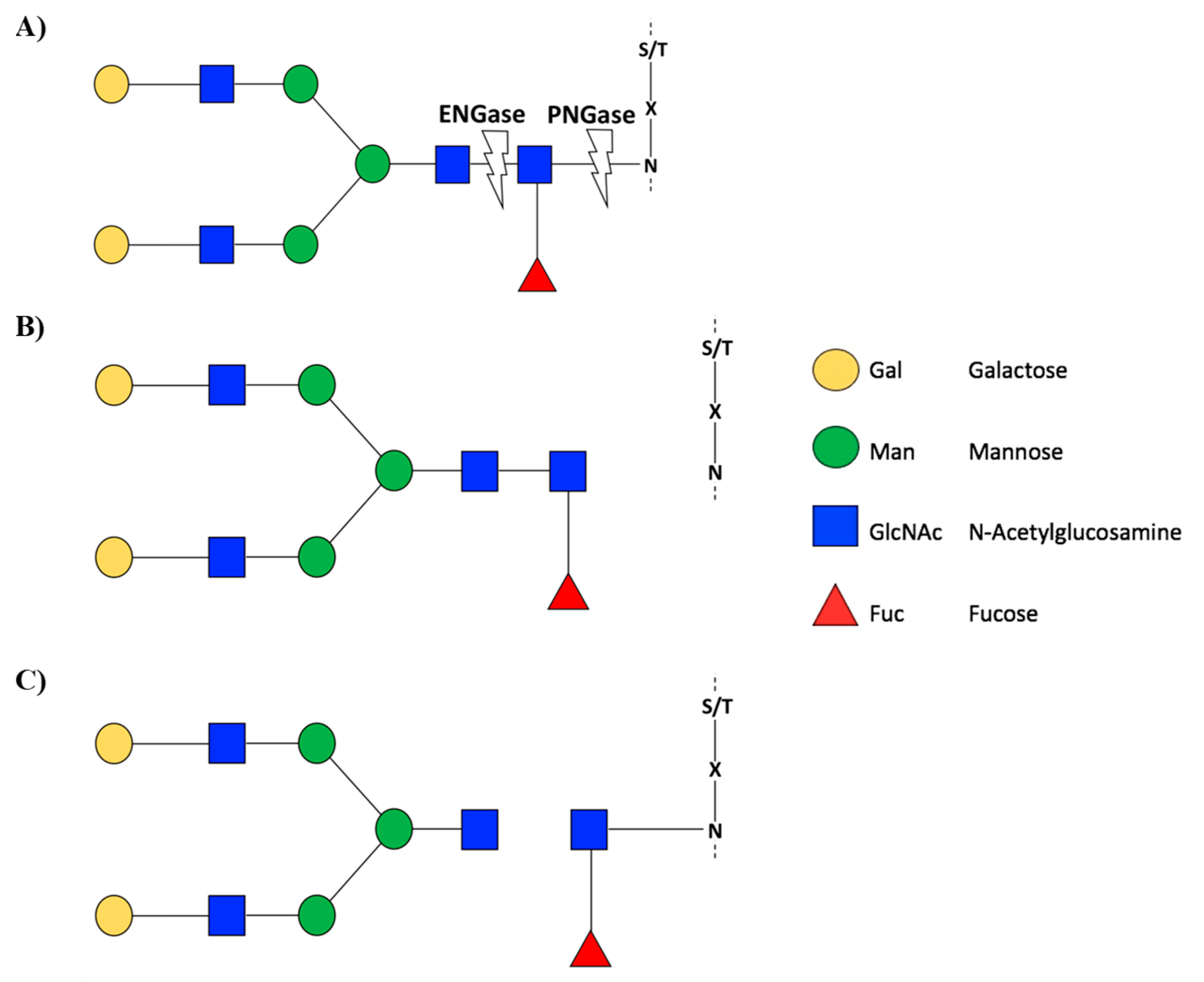 Cells 10 02095 g002 Cells 10 02095 g002