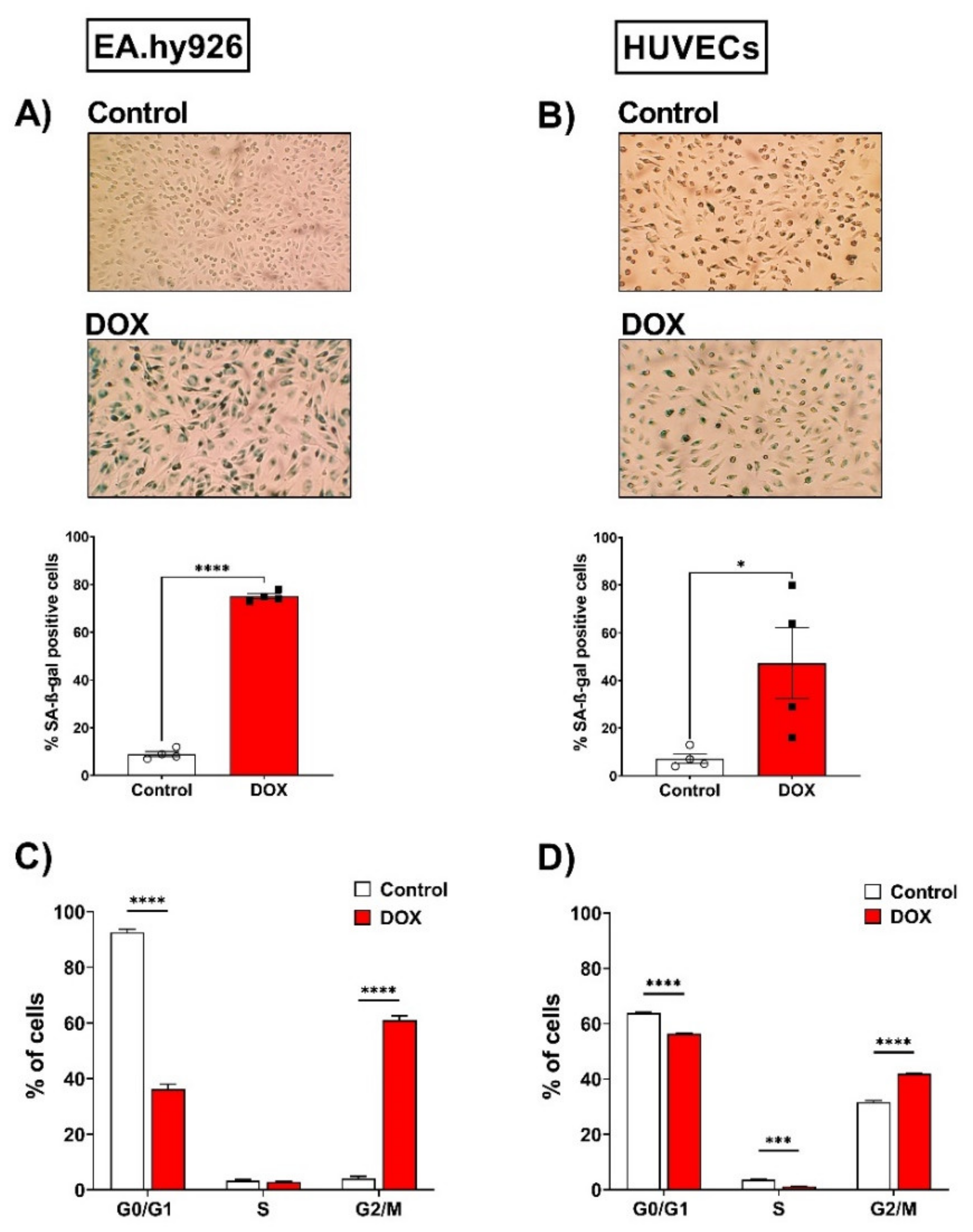 Cells 11 01992 g002 Cells 11 01992 g002