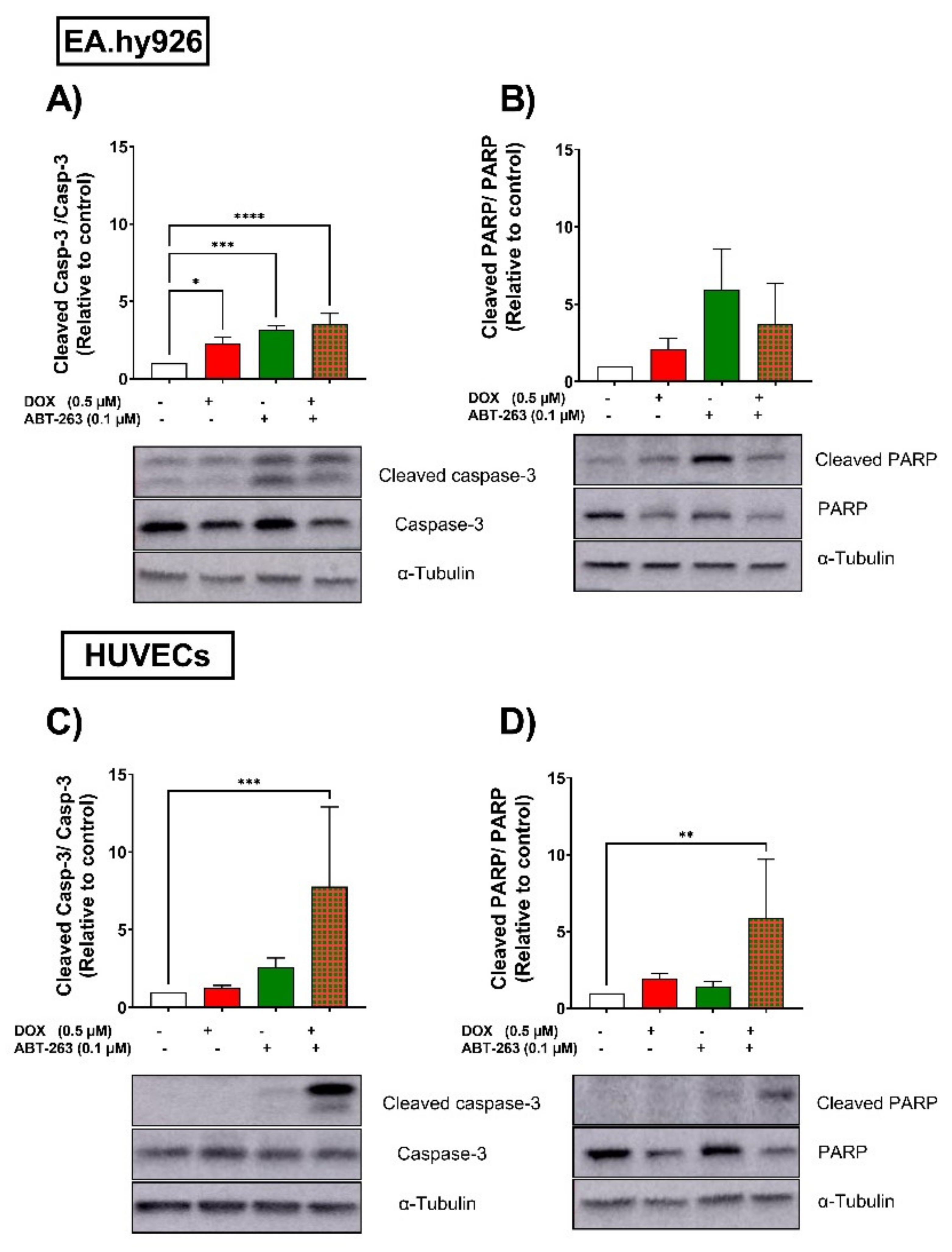 Cells 11 01992 g006 Cells 11 01992 g006