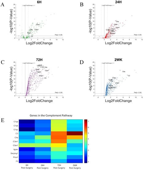 Cells Free Full Text Neuroinflammatory Gene Expression Analysis