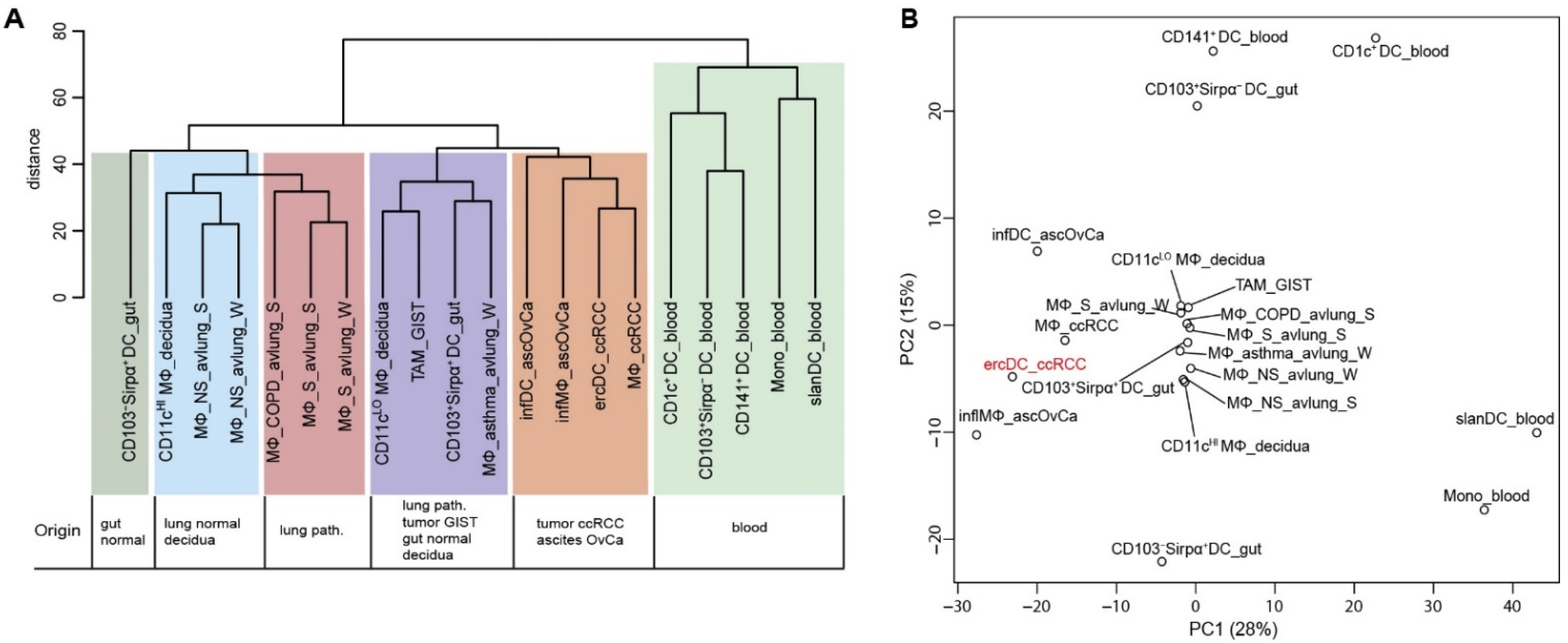 Cells 11 03289 g003 Cells 11 03289 g003