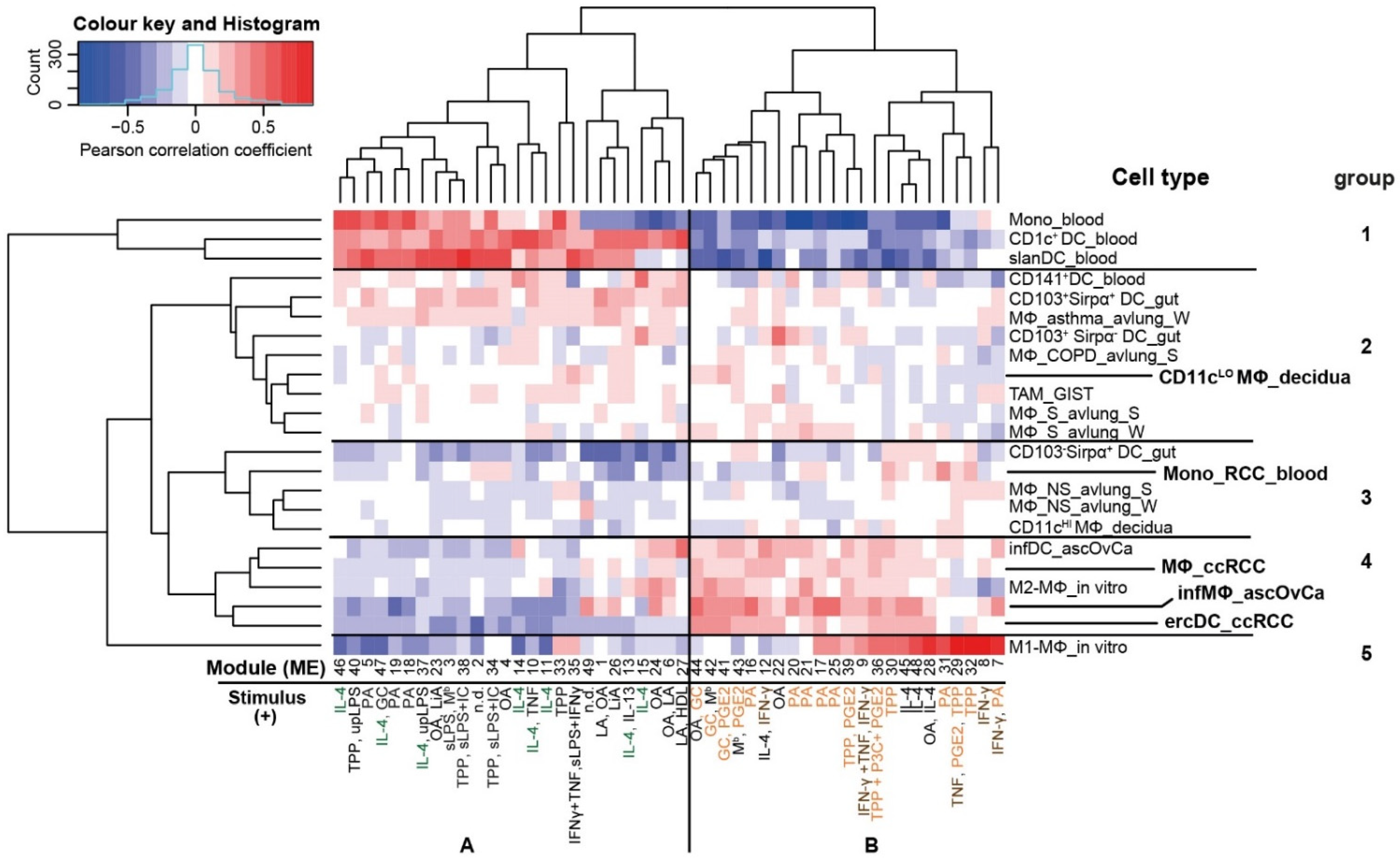 Cells 11 03289 g007 Cells 11 03289 g007