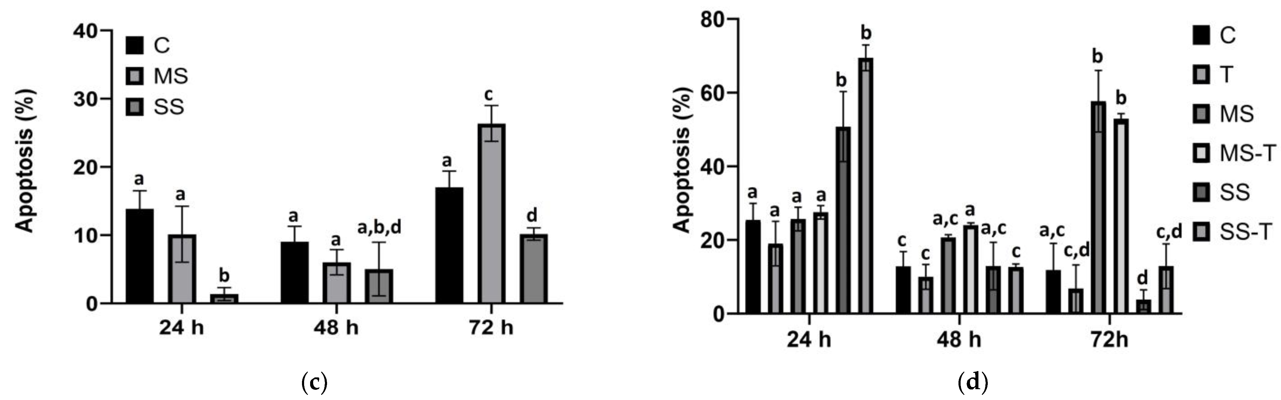 Cells 13 00282 g003c