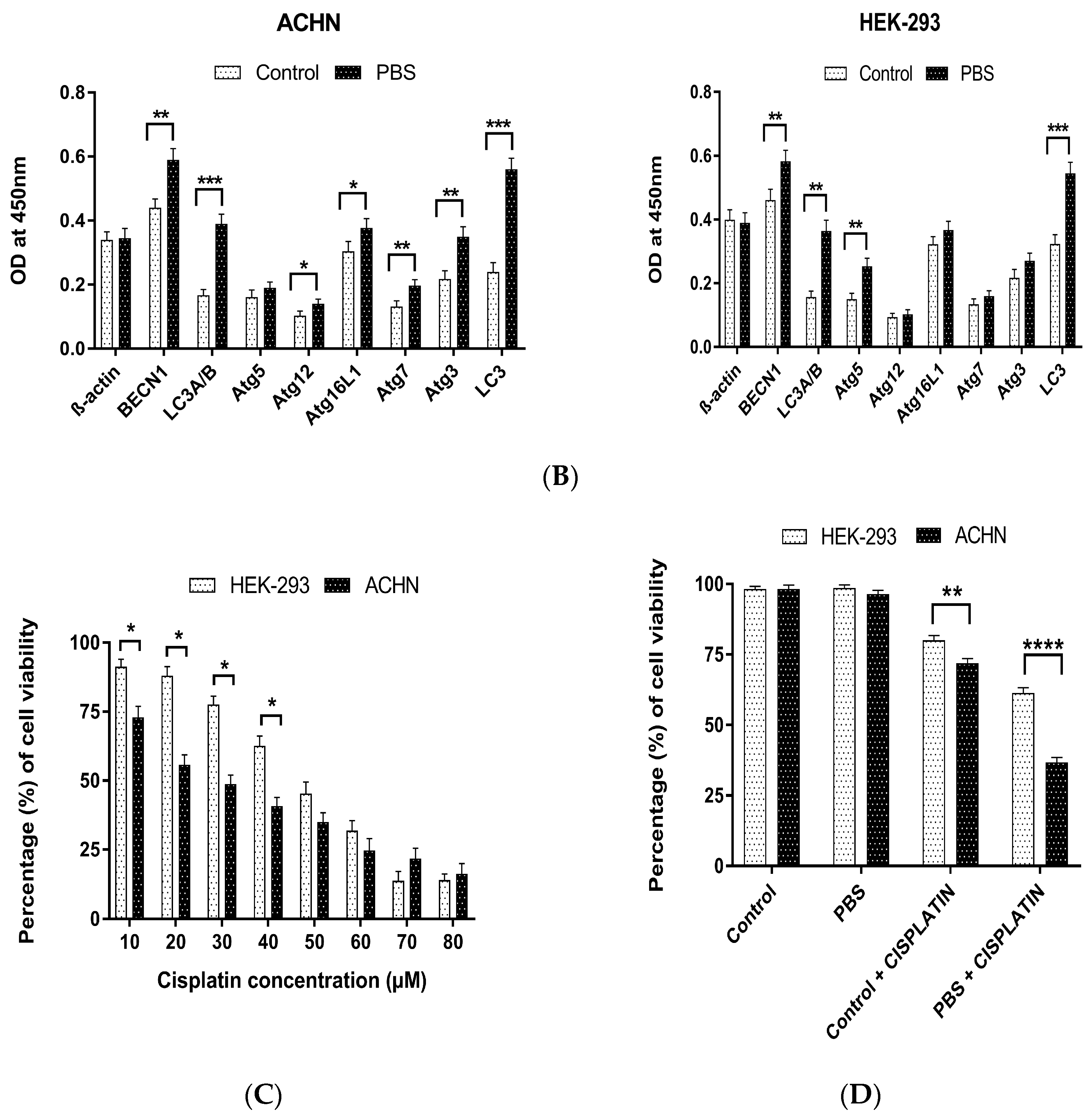 Cells 13 00471 g001b