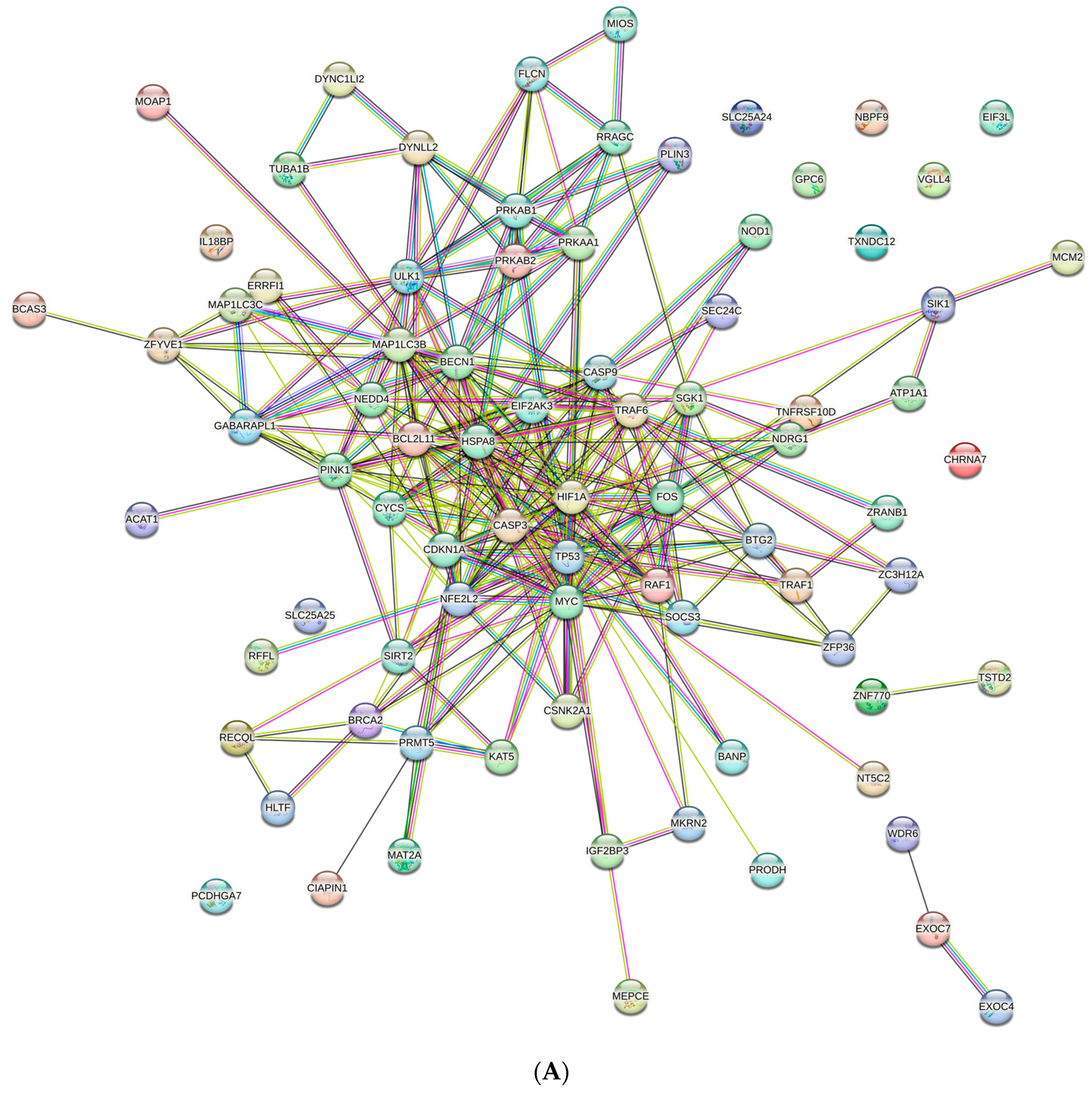 Cells 13 00471 g003a