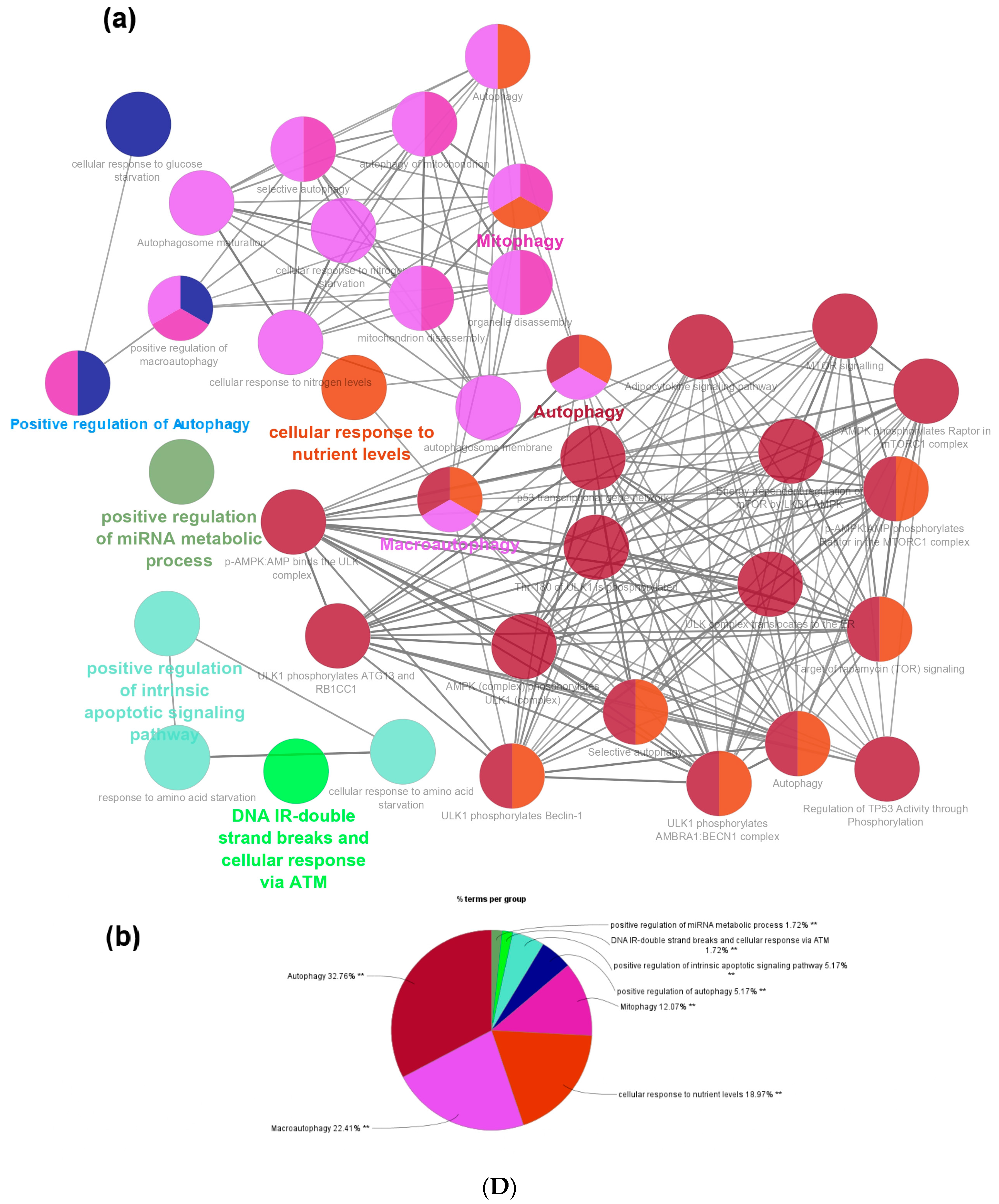 Cells 13 00471 g003d