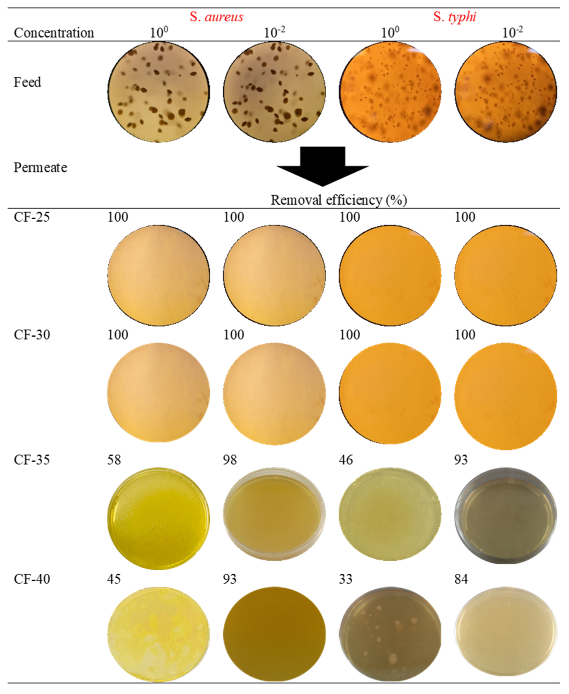Ceramics 06 00131 g007