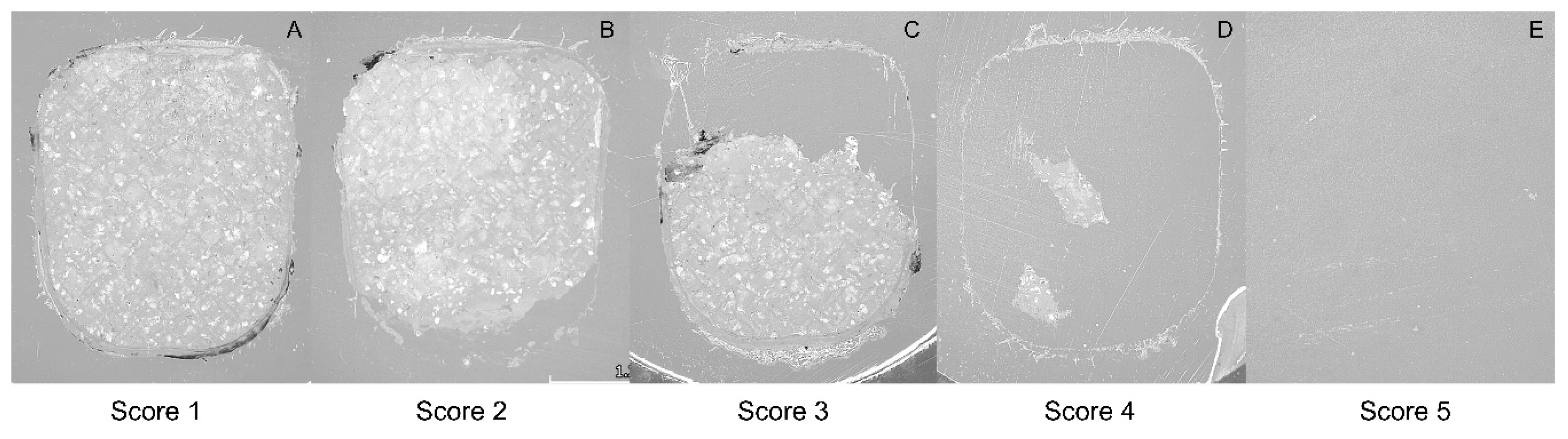 Ceramics 07 00045 g004