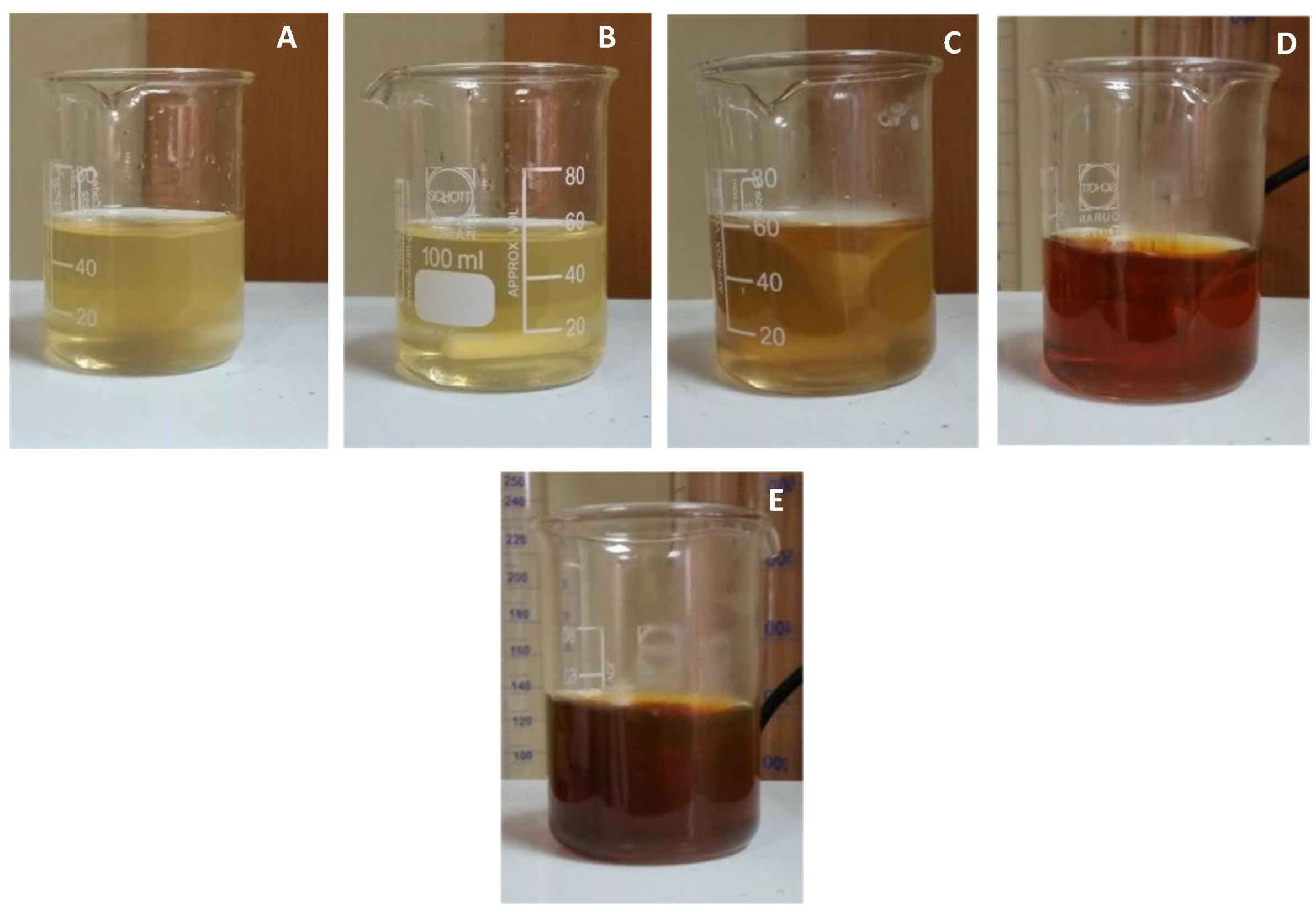 Challenges 13 00018 g001