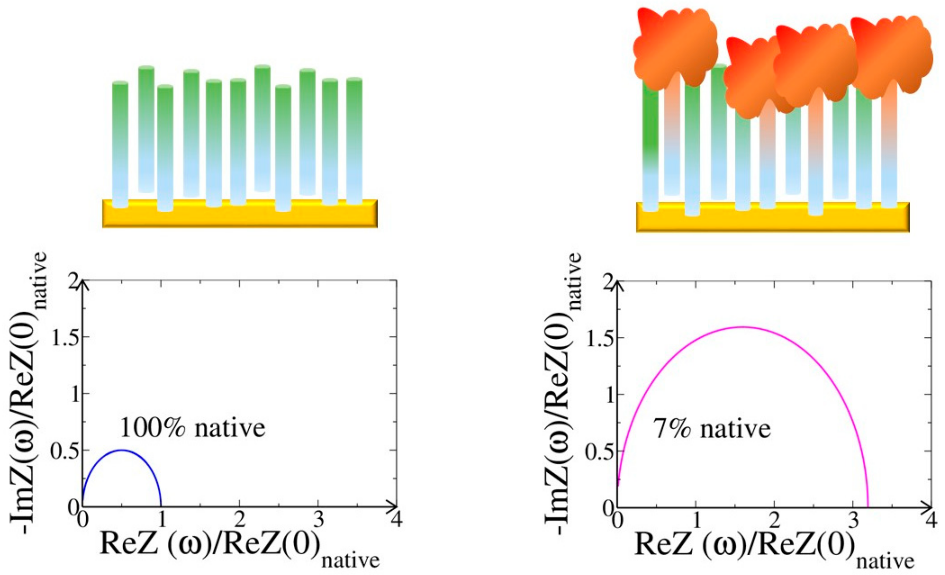 Chemosensors 06 00020 g006 Chemosensors 06 00020 g006