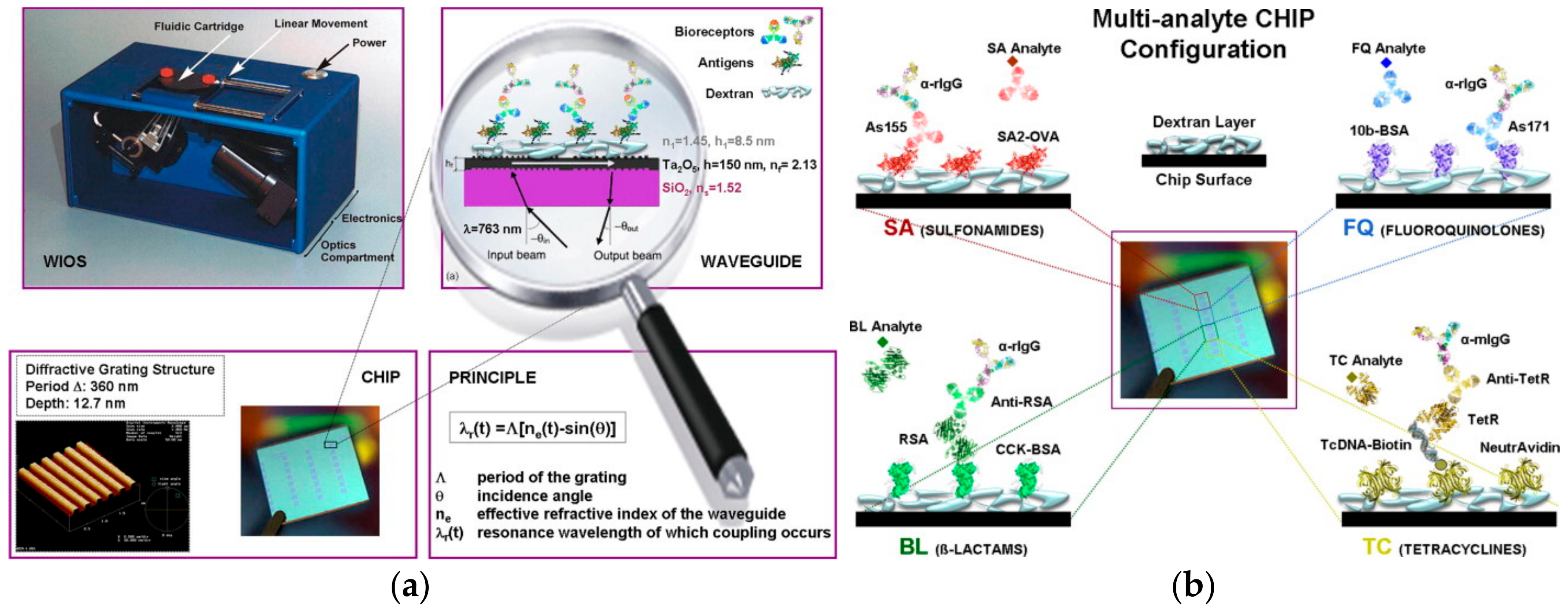 Chemosensors 06 00052 g005