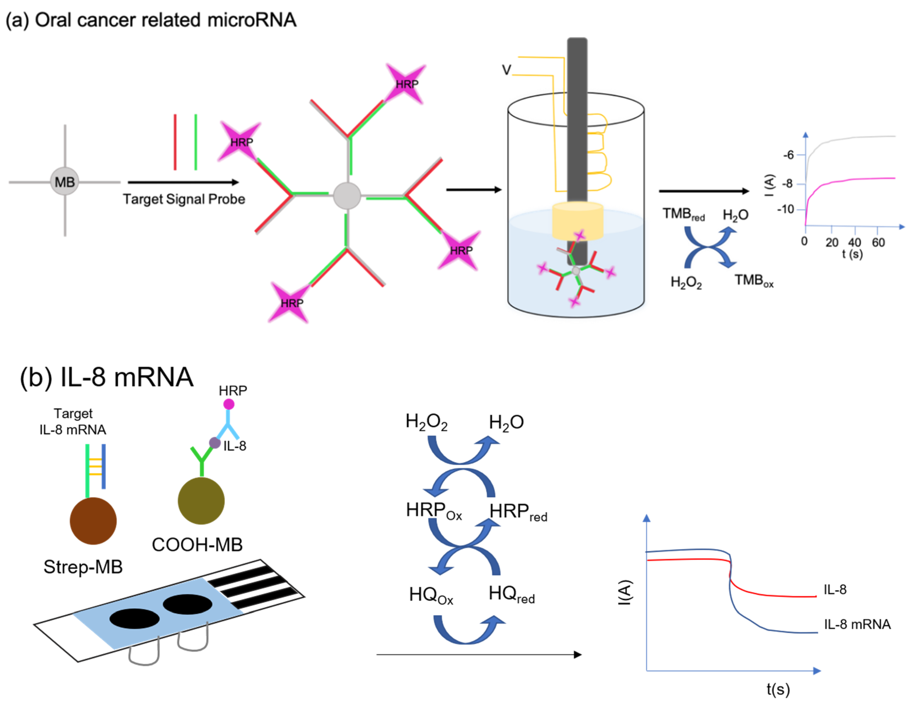 Chemosensors Free Full Text A Review Electrochemical Biosensors