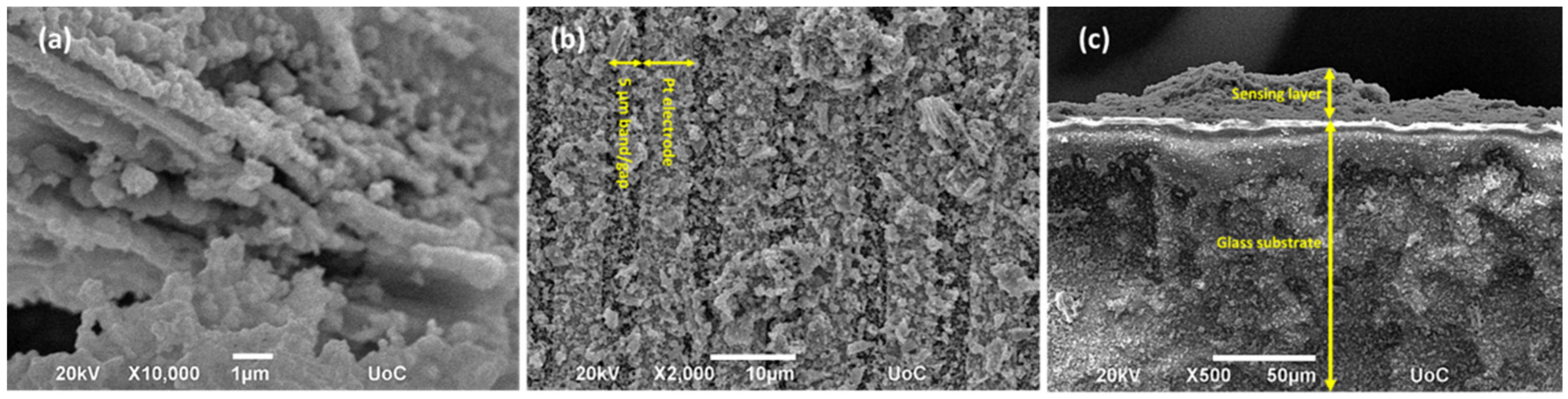 Chemosensors 10 00266 g004