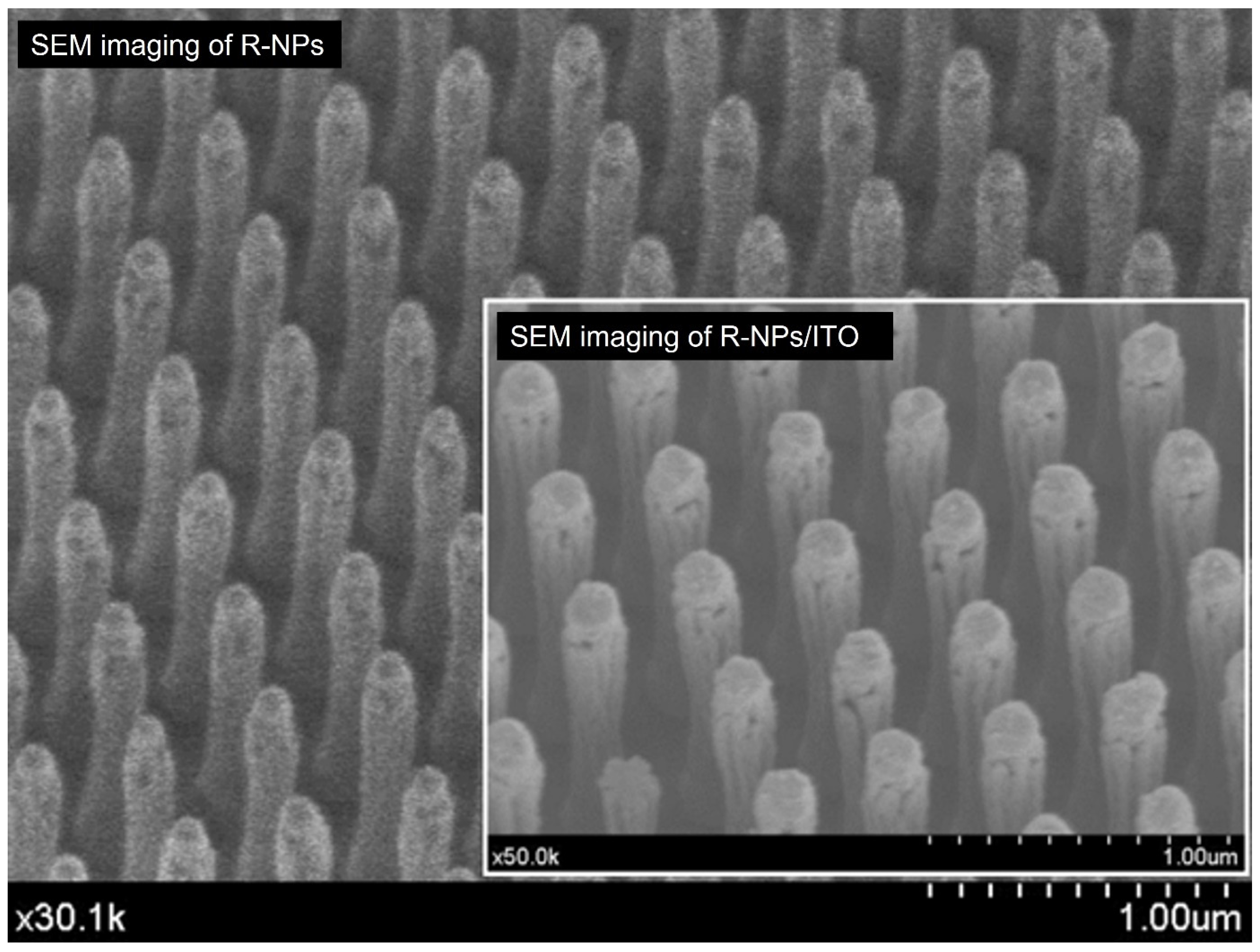 Chemosensors 10 00393 g002