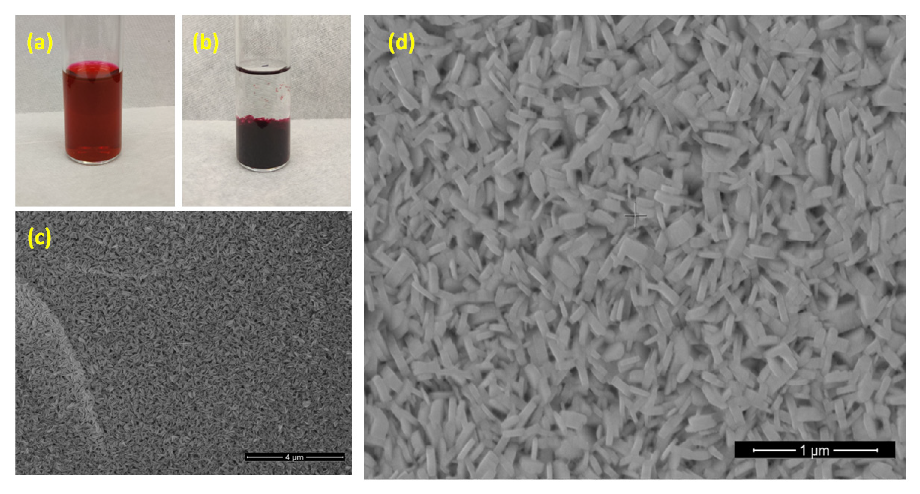 Chemosensors 10 00500 g002