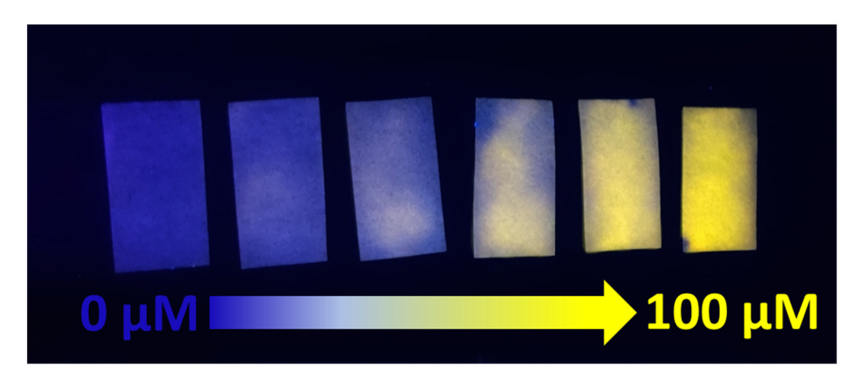 Chemosensors 10 00500 g006