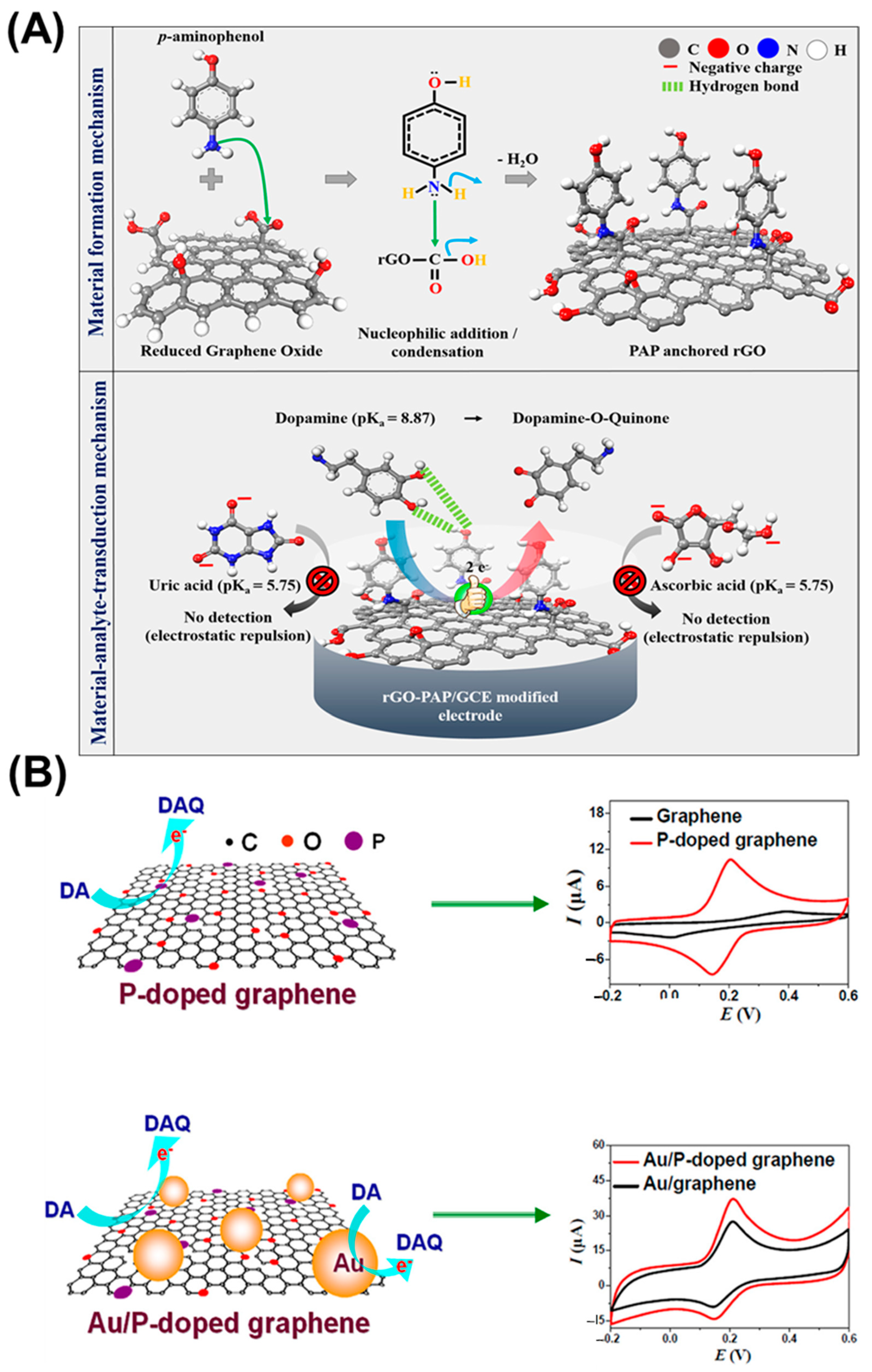 Chemosensors 11 00103 g002
