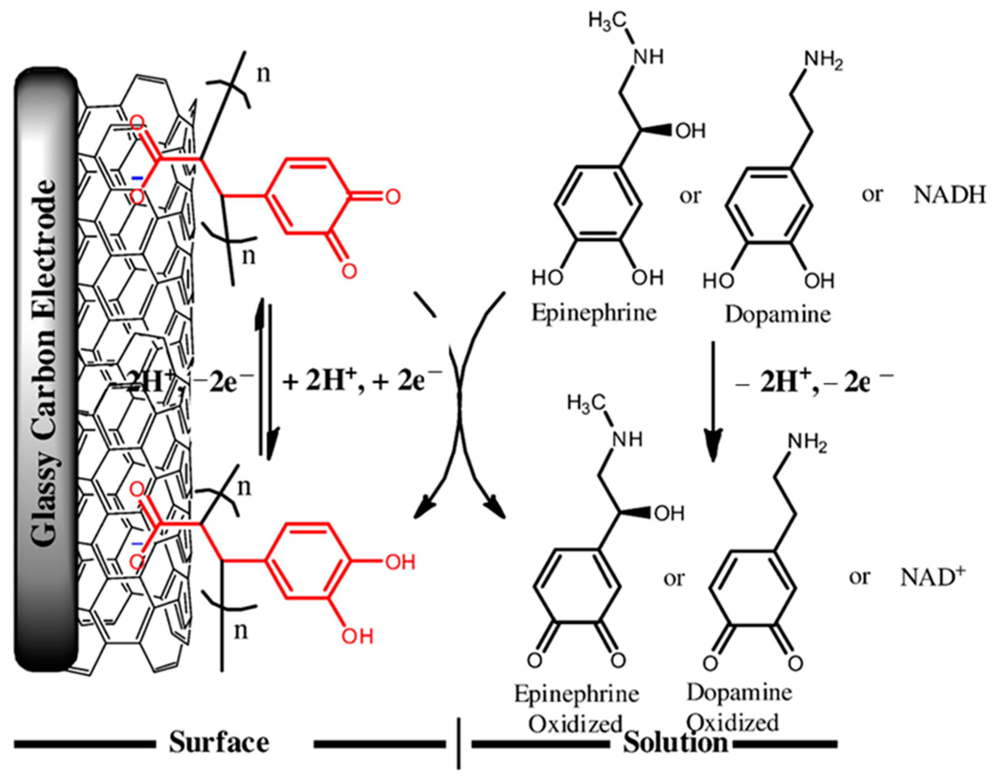 Chemosensors 11 00103 g005