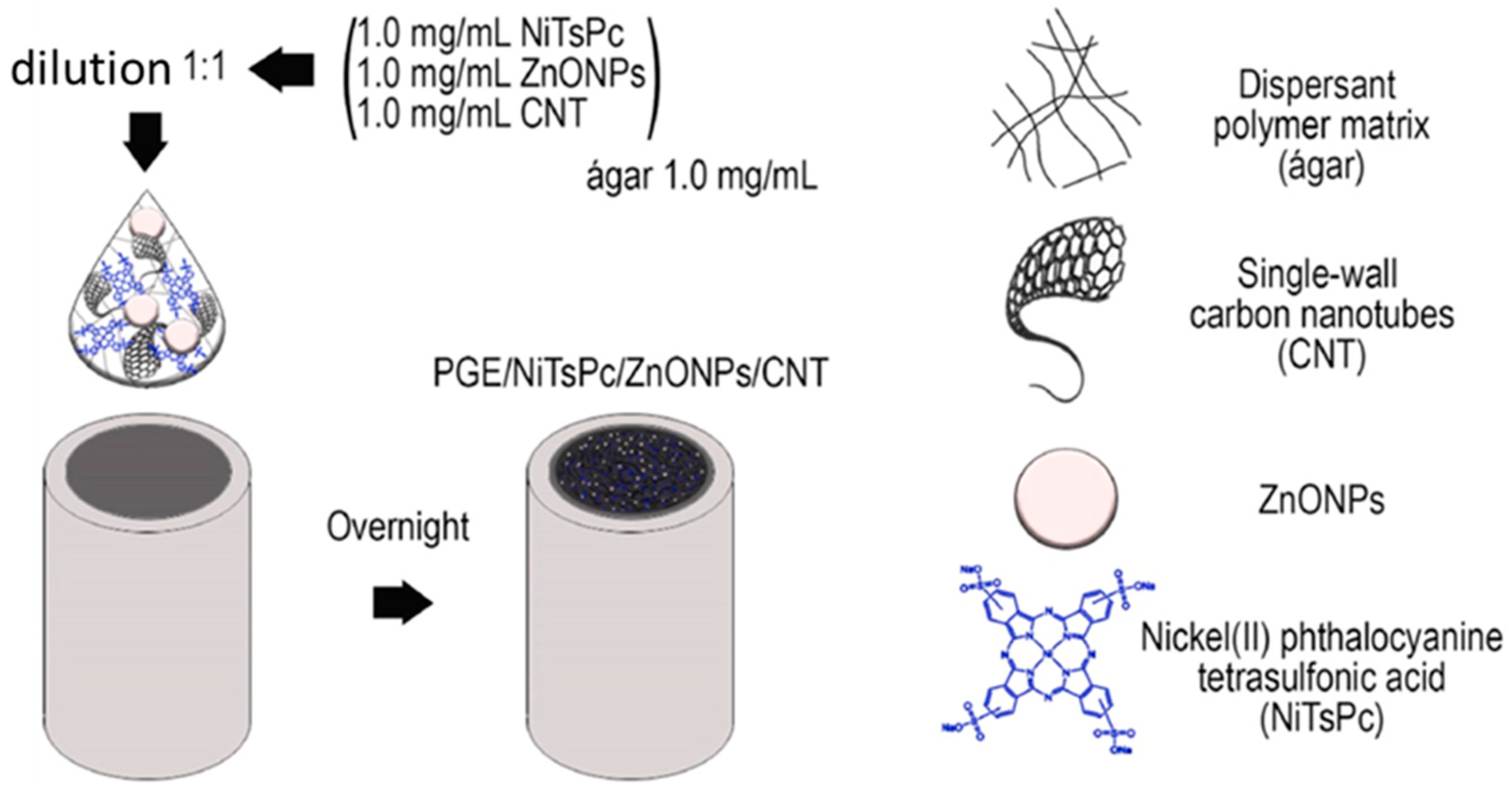 Chemosensors 11 00103 g008