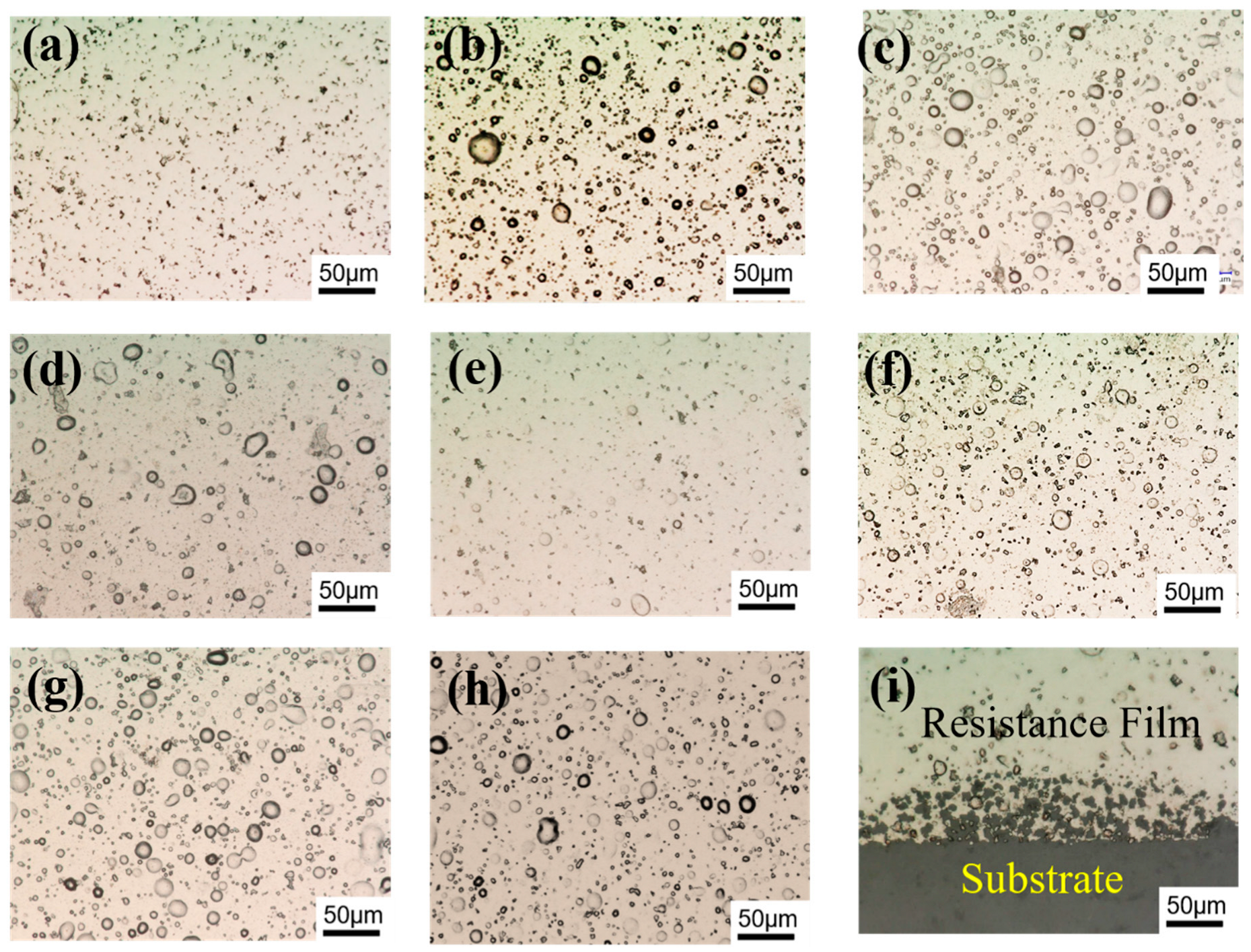Chemosensors 11 00285 g002