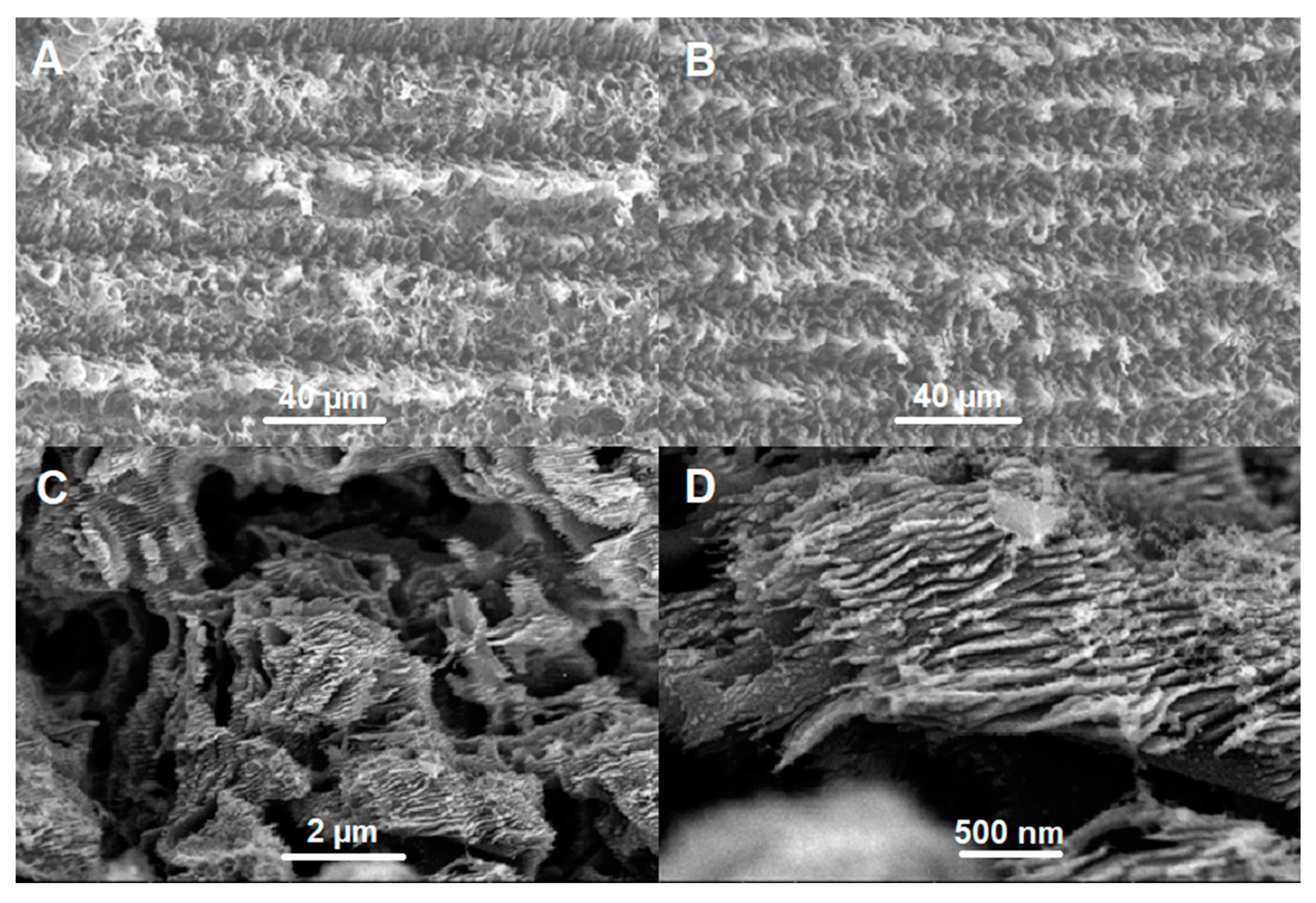 Chemosensors 11 00329 g003