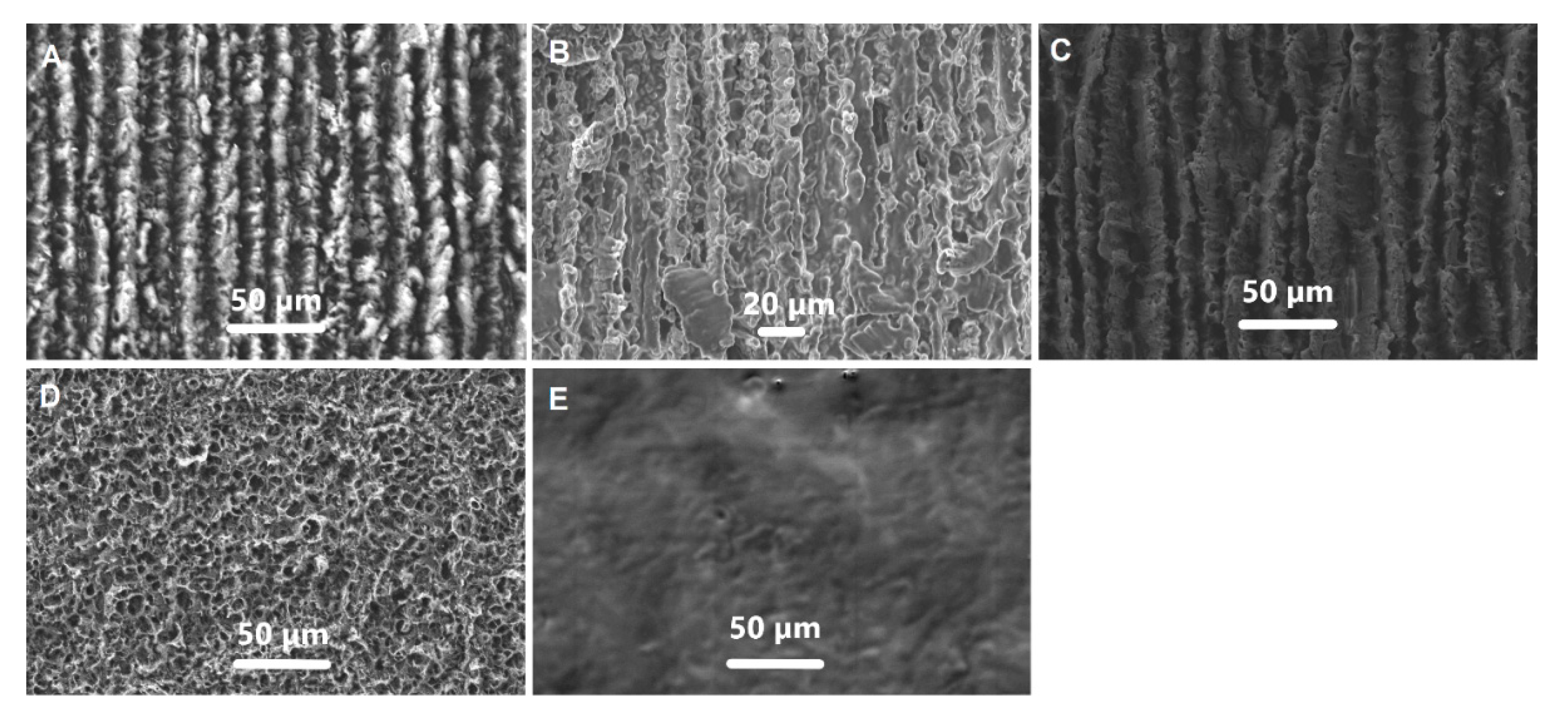 Chemosensors 11 00329 g008