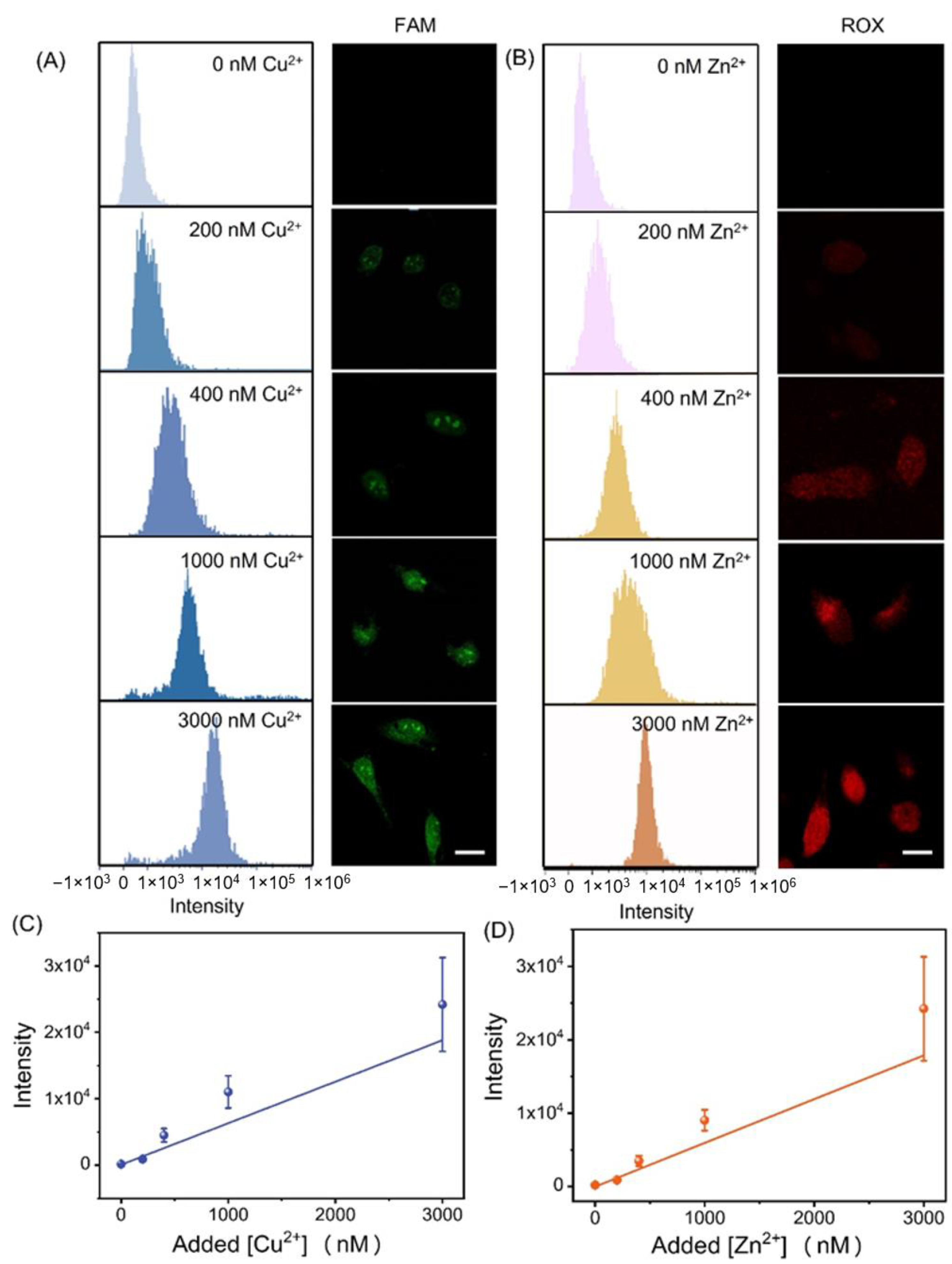 Chemosensors 11 00358 g006