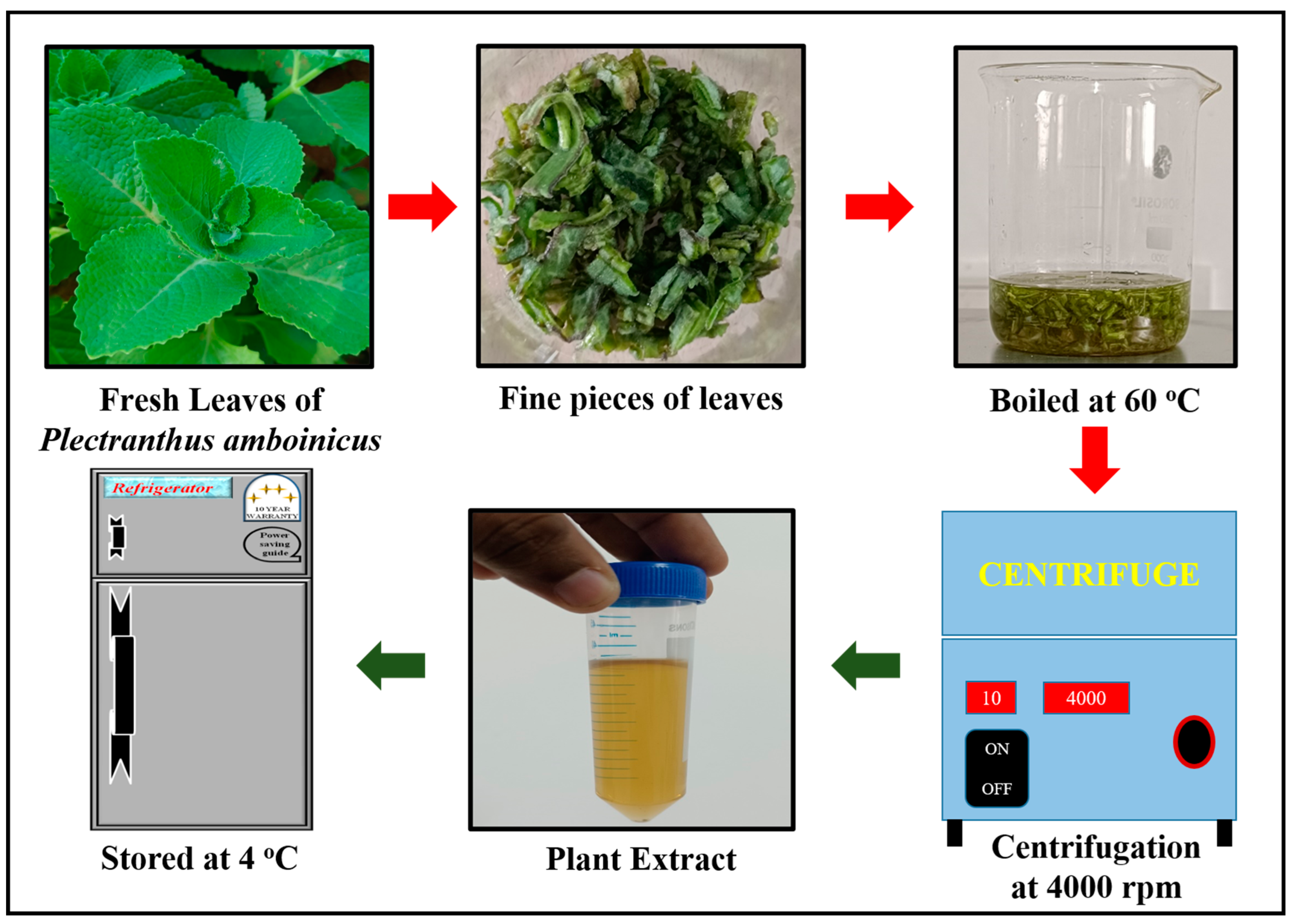 Chemosensors 11 00373 g001