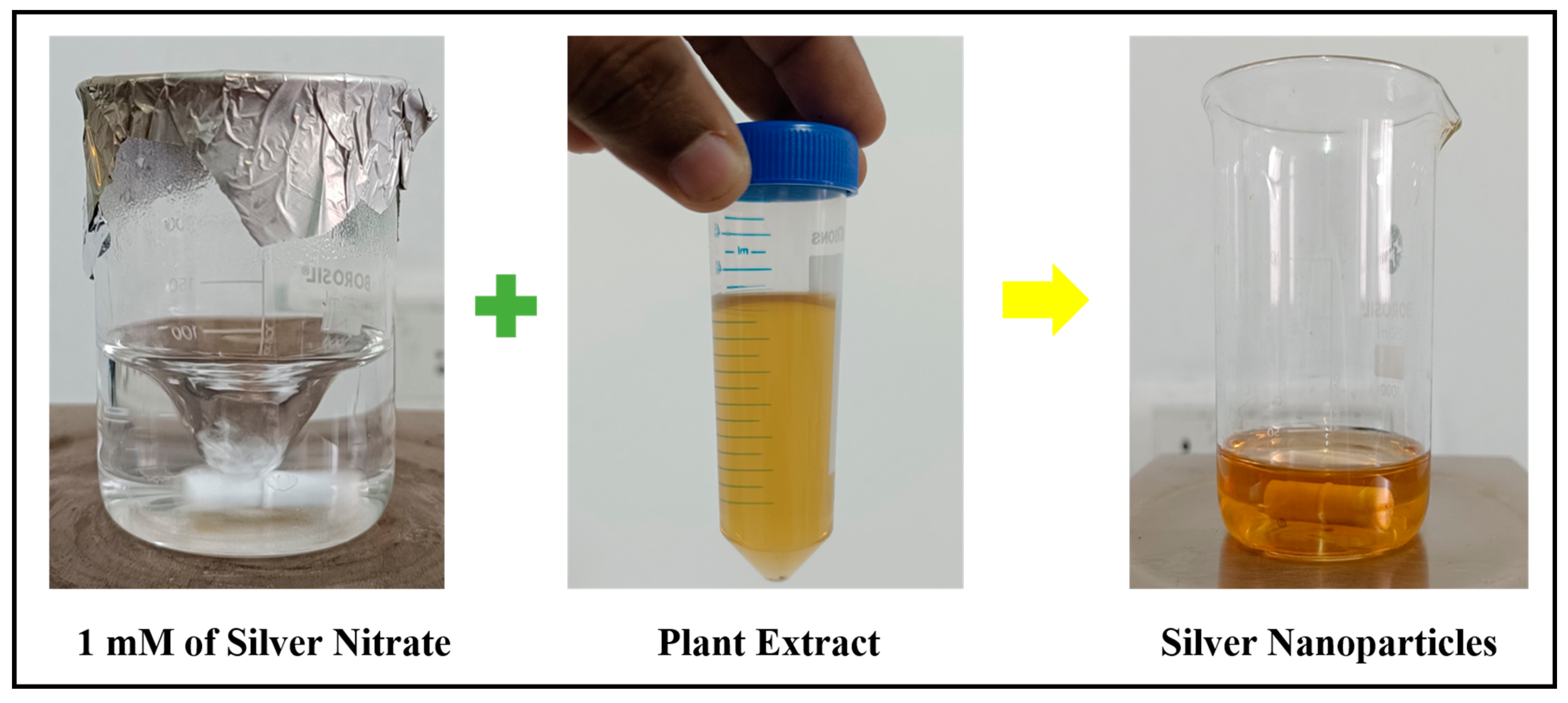 Chemosensors 11 00373 g002