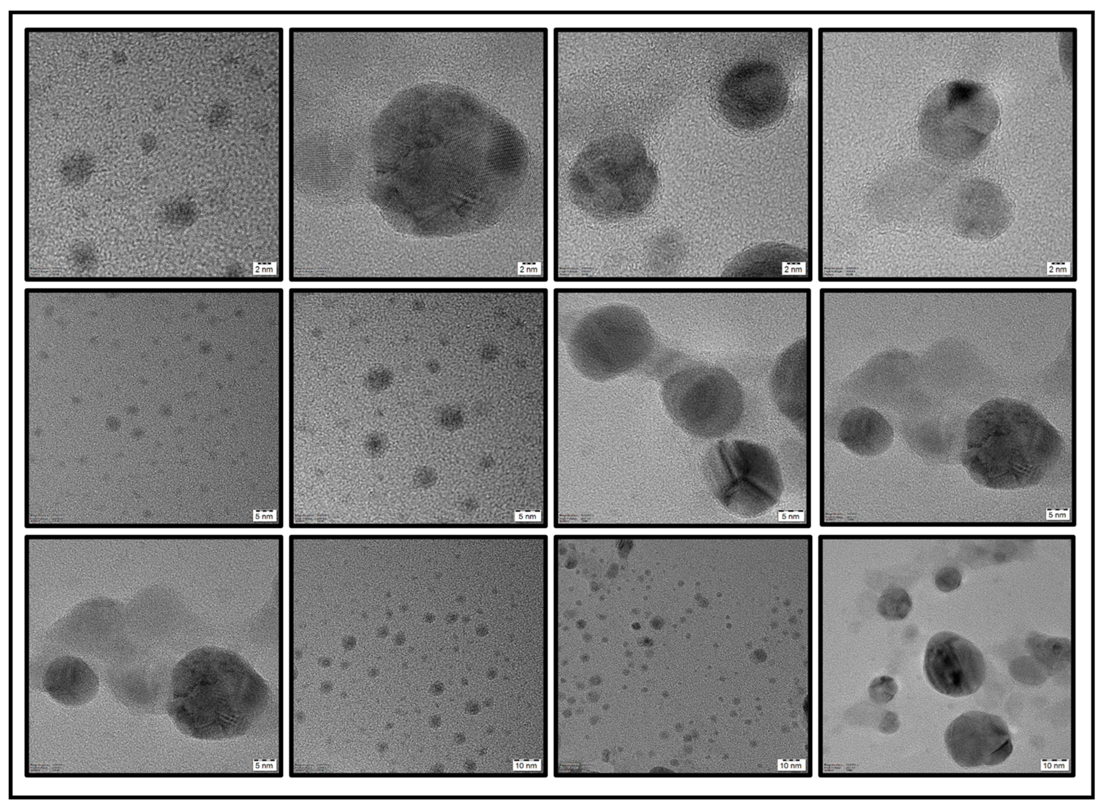 Chemosensors 11 00373 g006