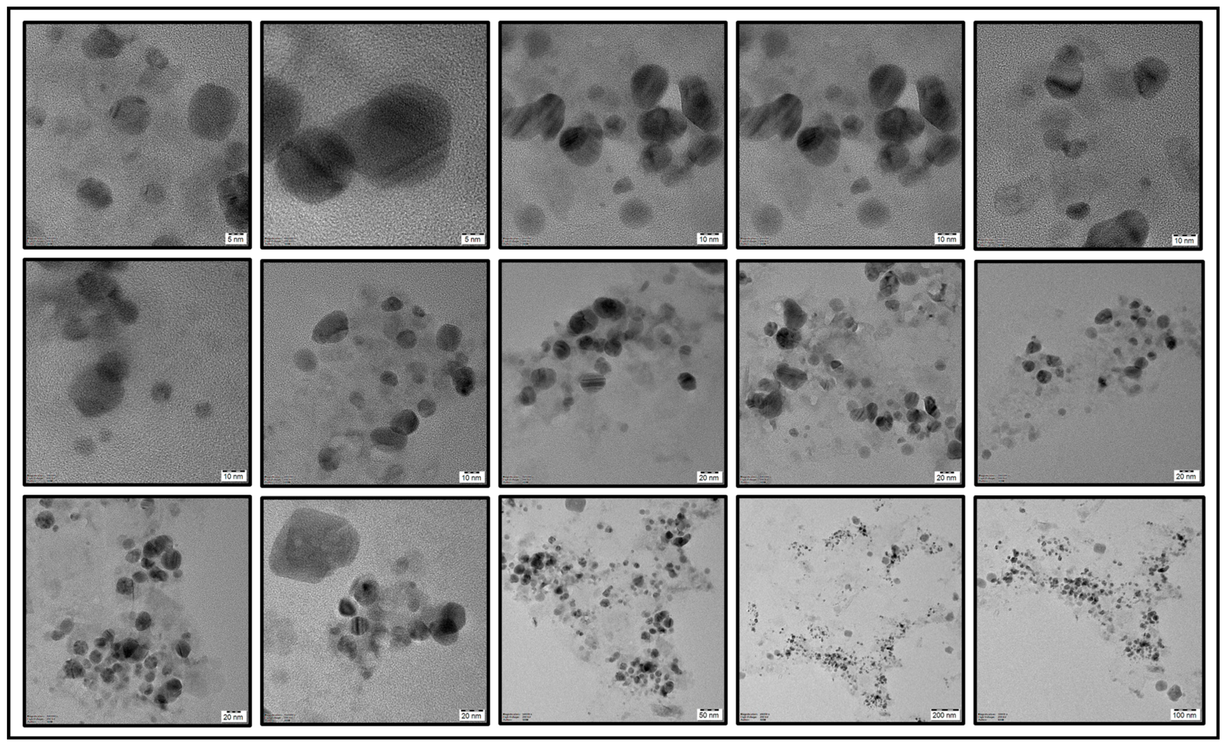Chemosensors 11 00373 g009