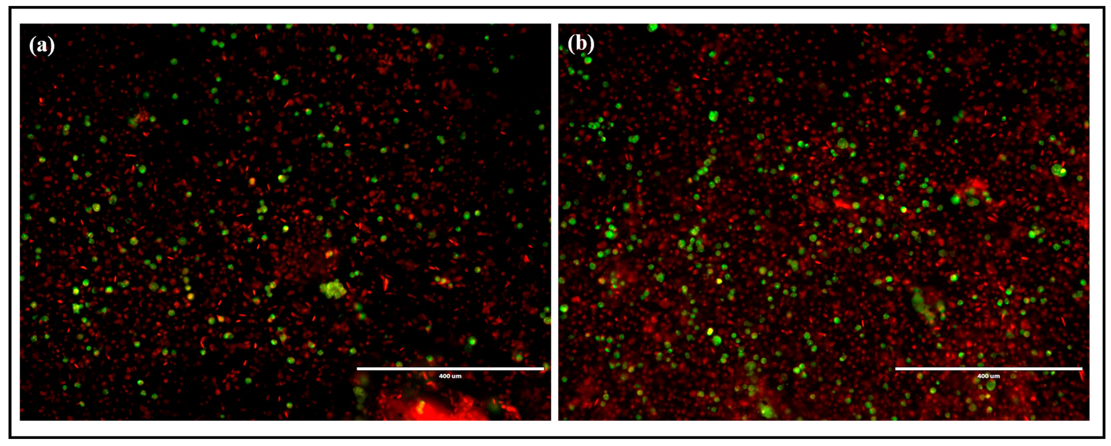 Chemosensors 11 00373 g013