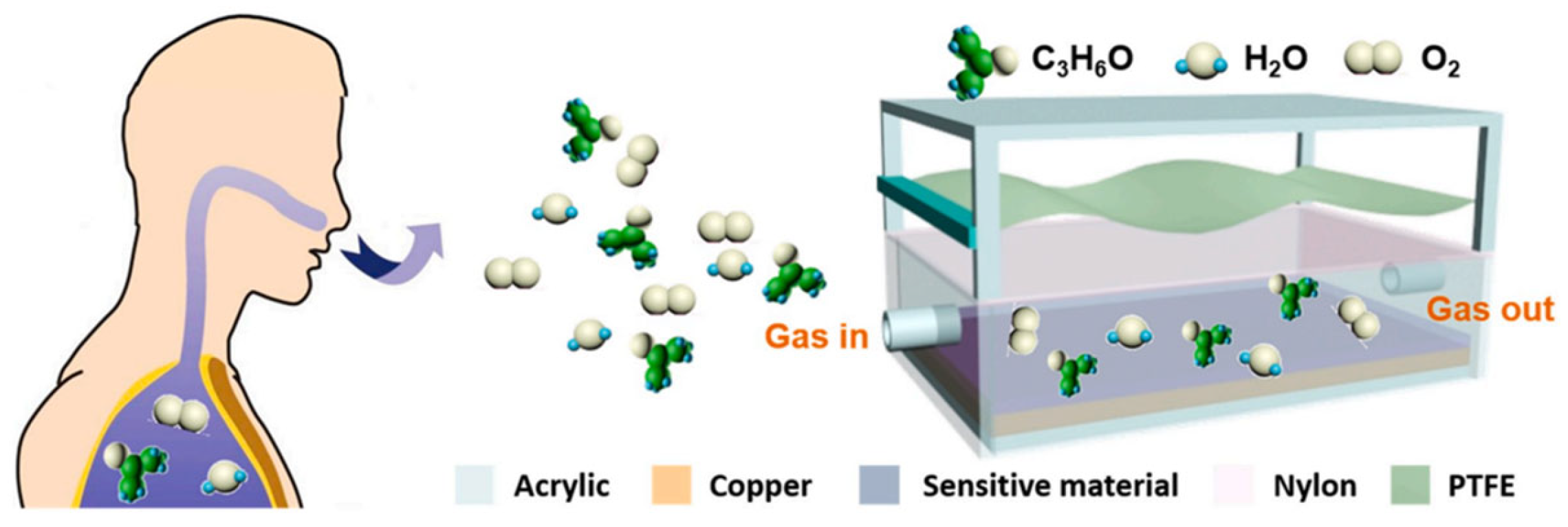 Chemosensors 11 00391 g005
