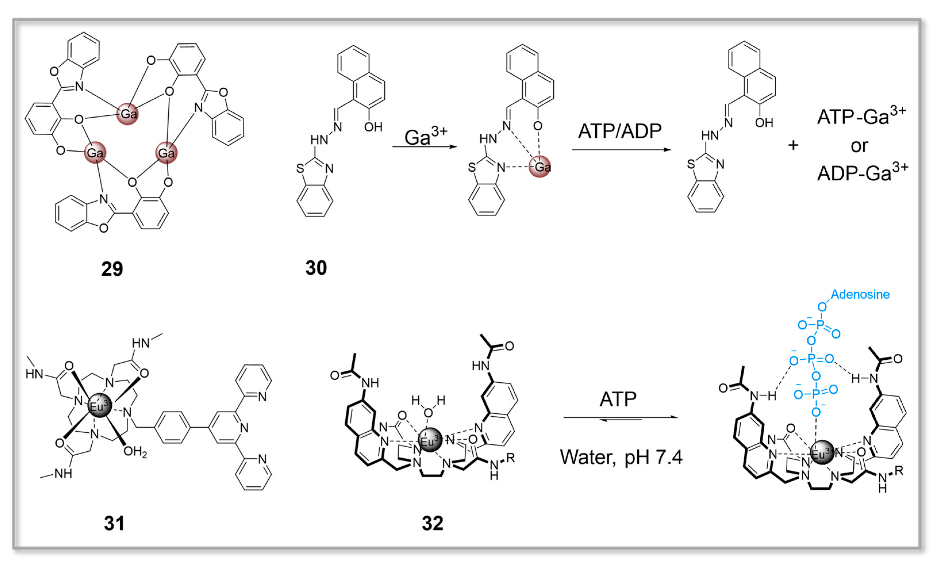 Chemosensors 11 00417 g007