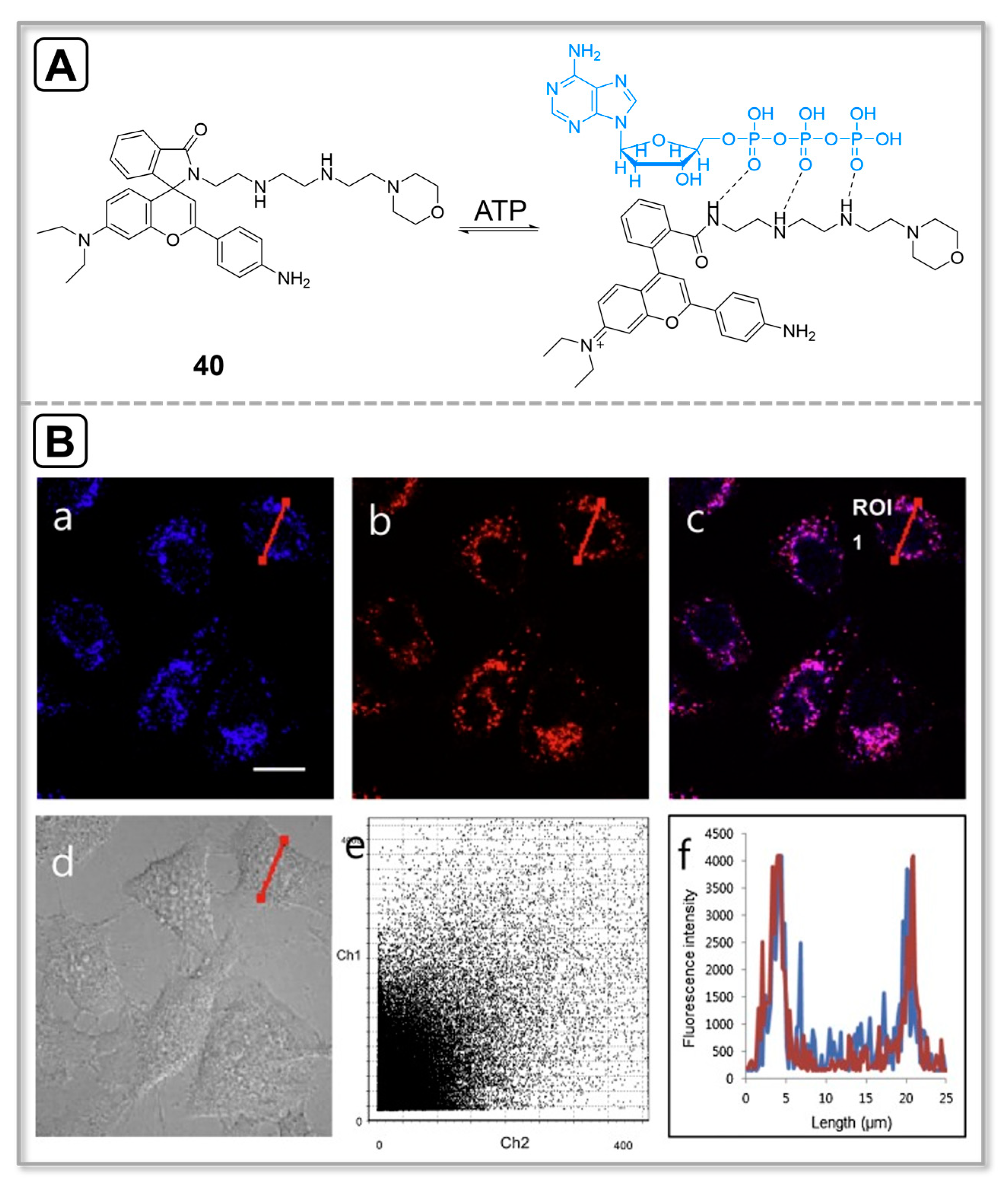 Chemosensors 11 00417 g010