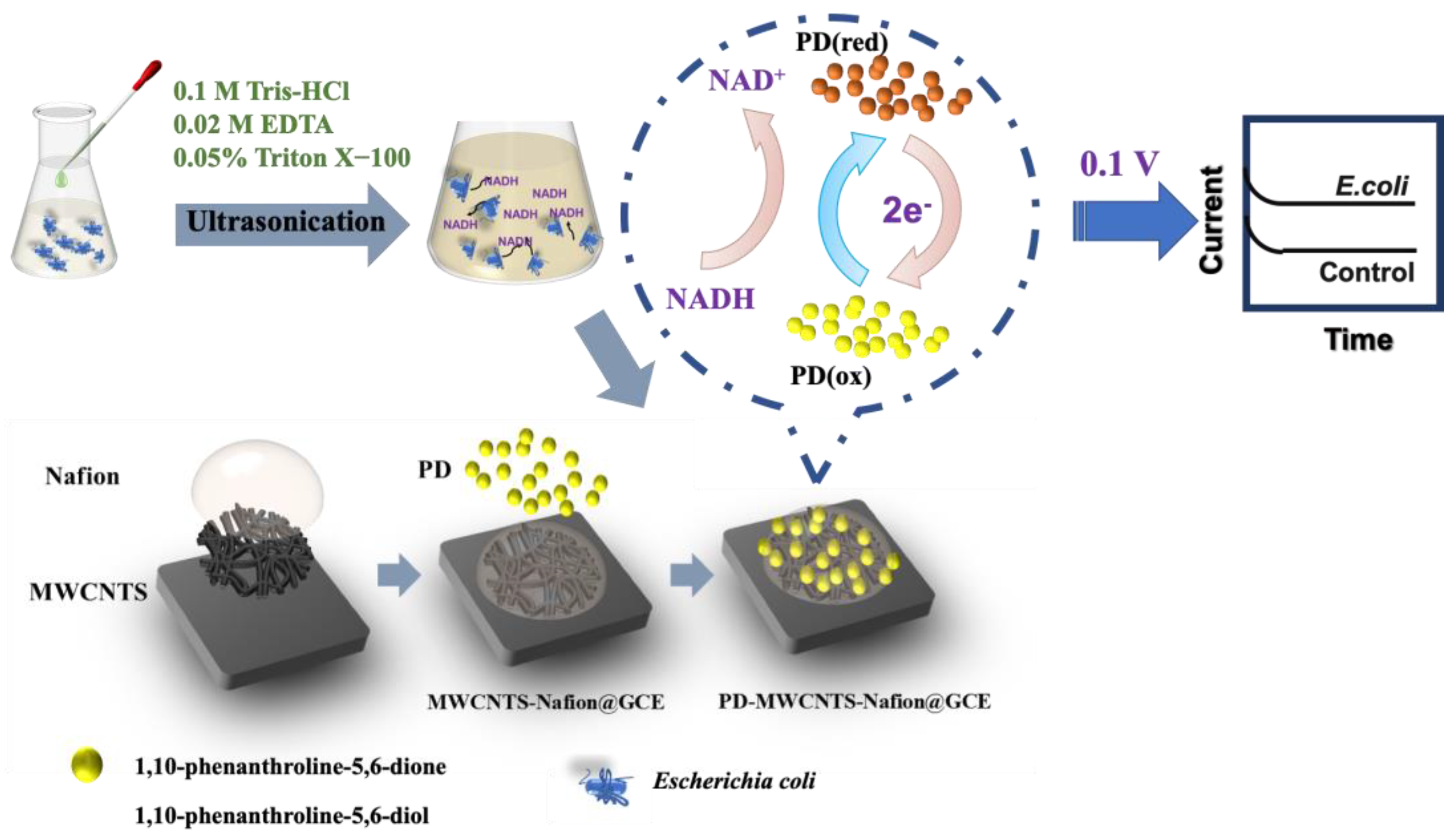 Chemosensors 11 00458 sch001