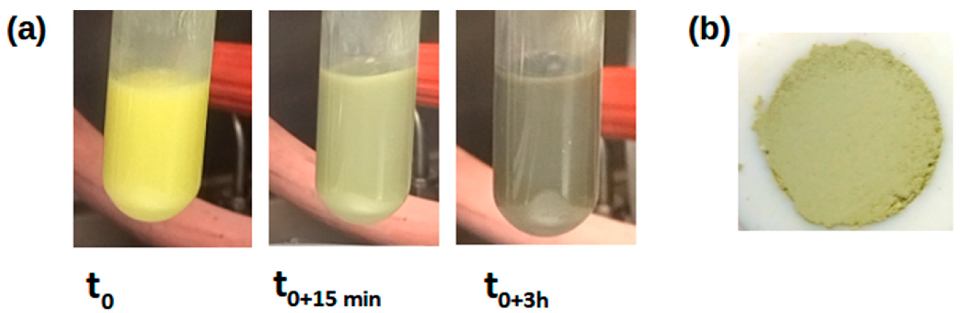 Chemosensors 11 00495 g002