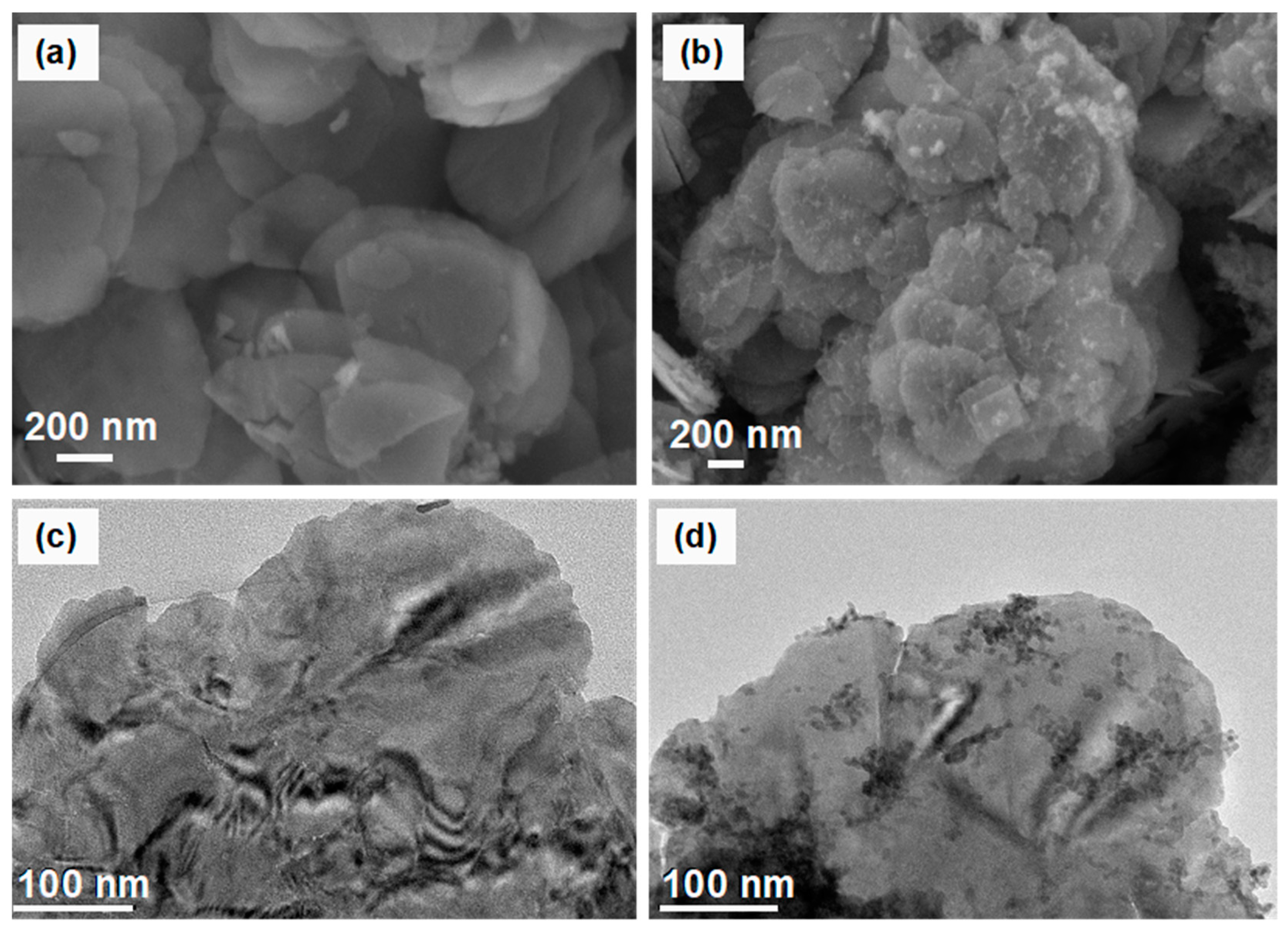 Chemosensors 11 00495 g003