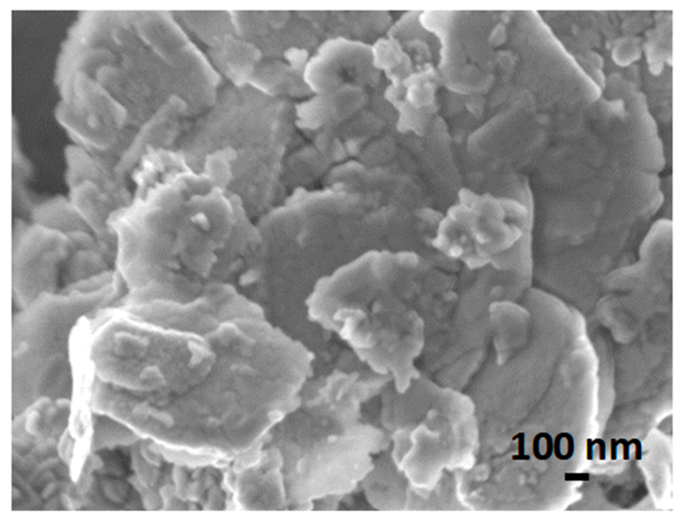 Chemosensors 11 00495 g009