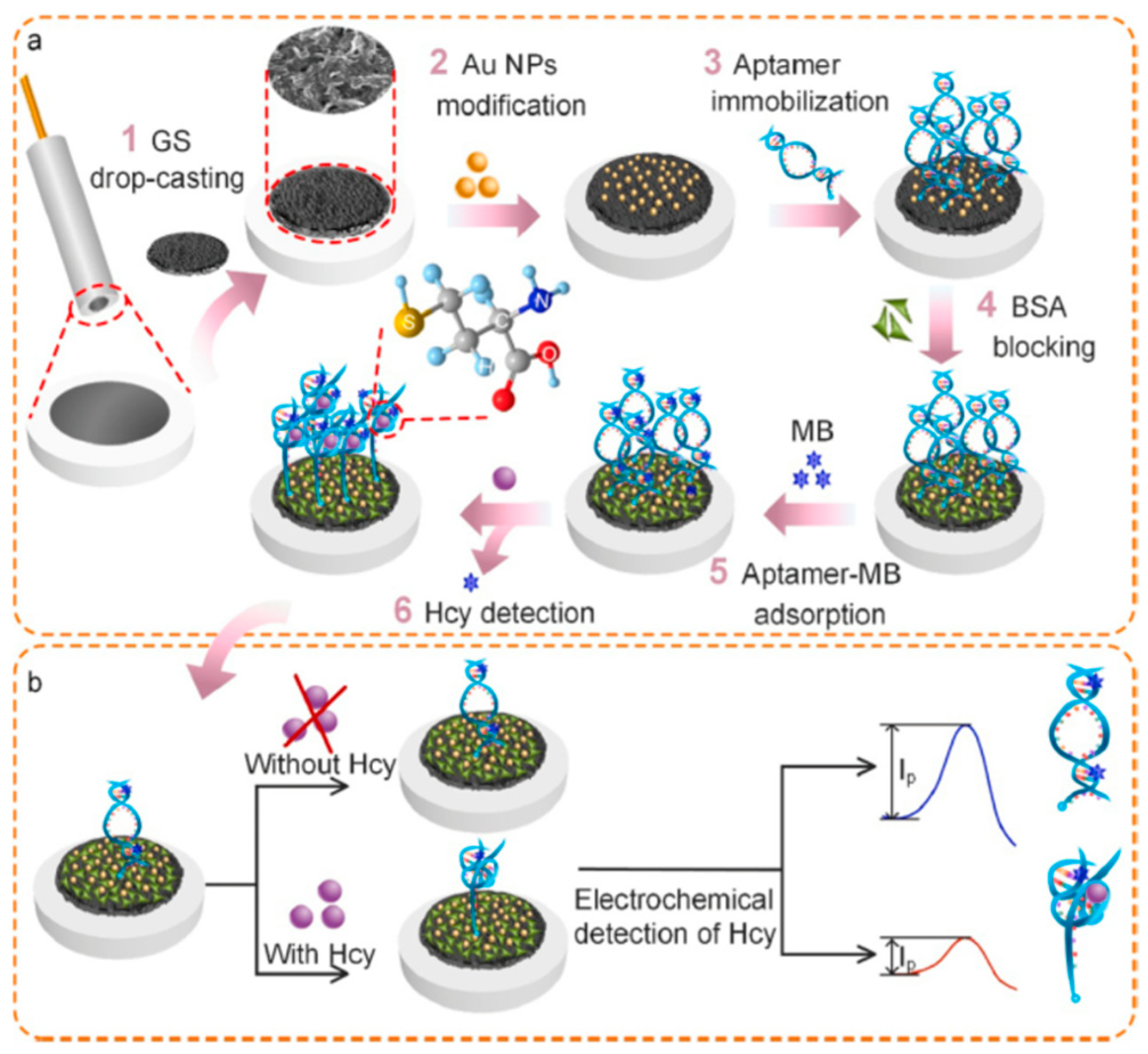 Chemosensors 11 00510 g003