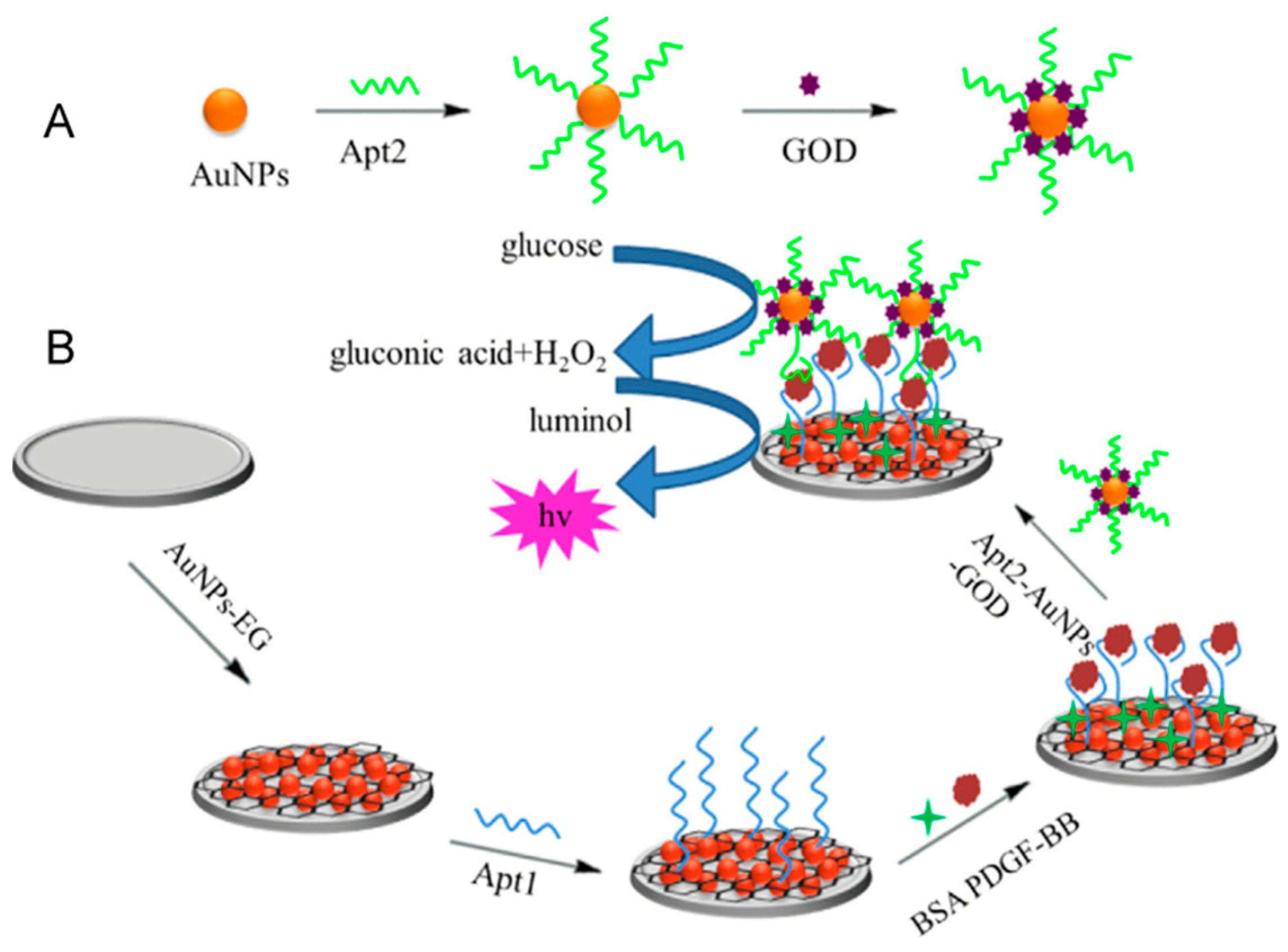 Chemosensors 11 00510 g007