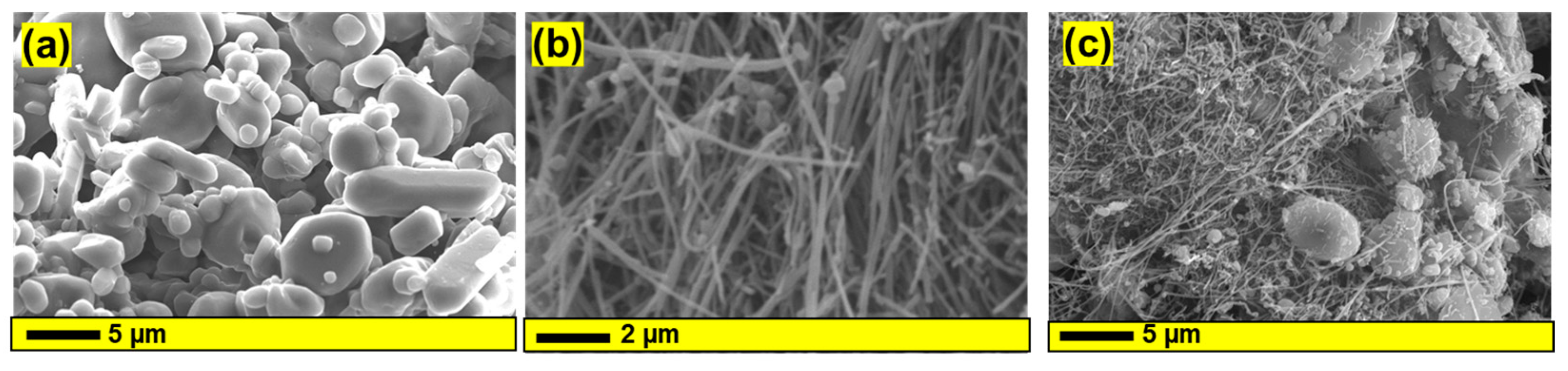 Chemosensors 11 00544 g003