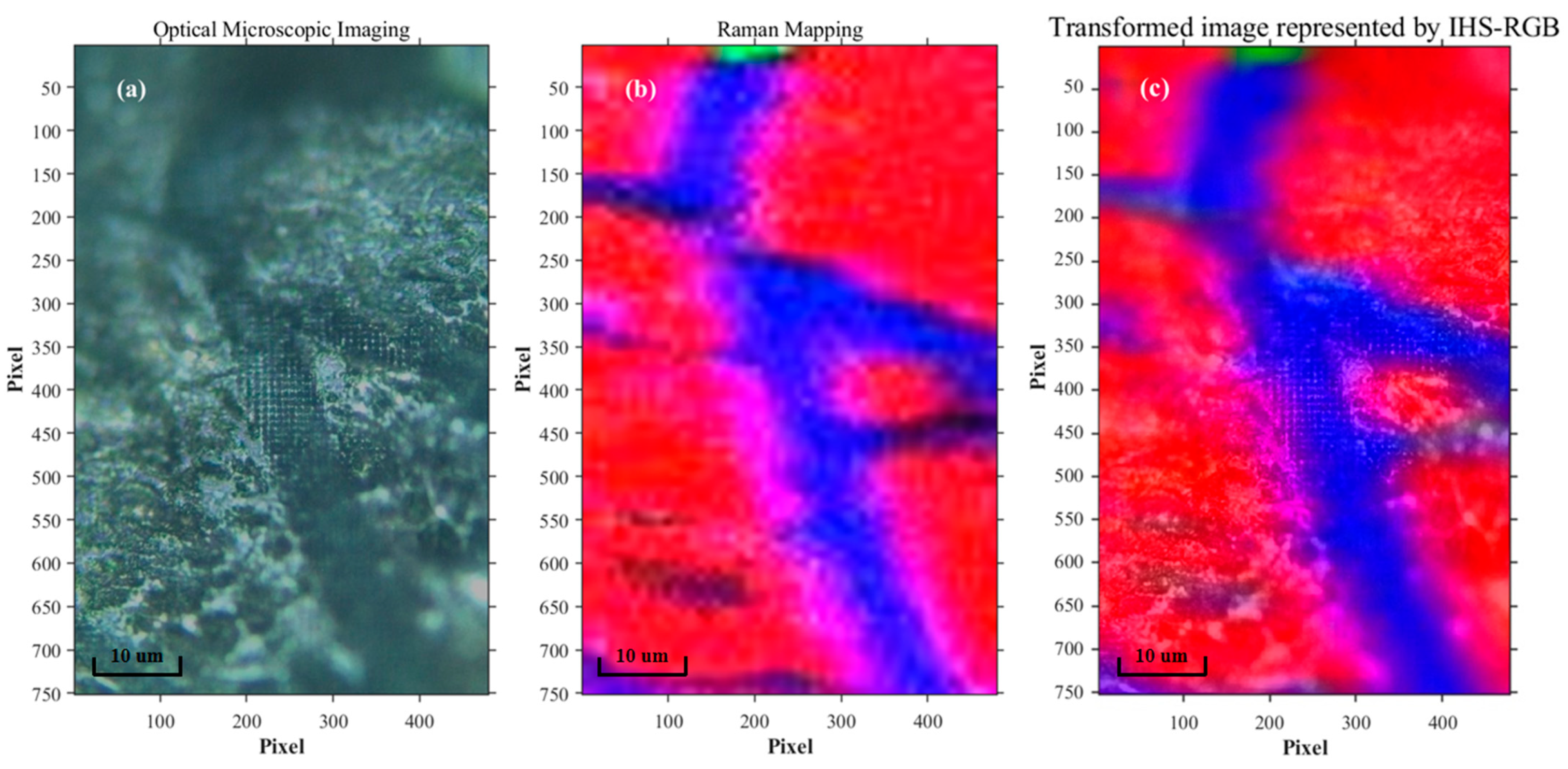 Chemosensors 11 00567 g004